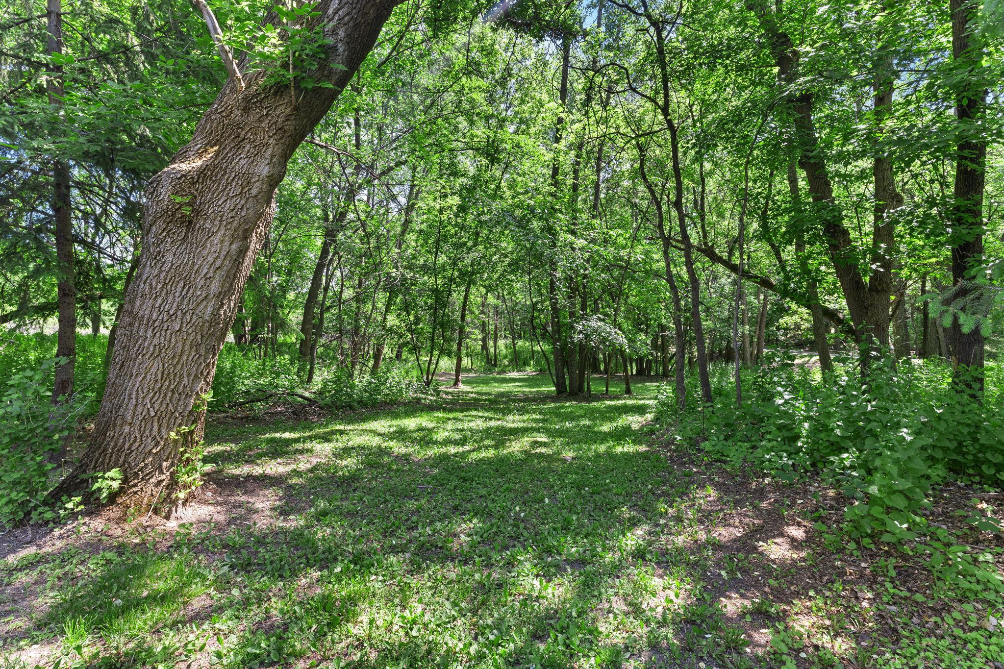 100-web-or-mls-19463 Proctor Rd NW-112.JPG