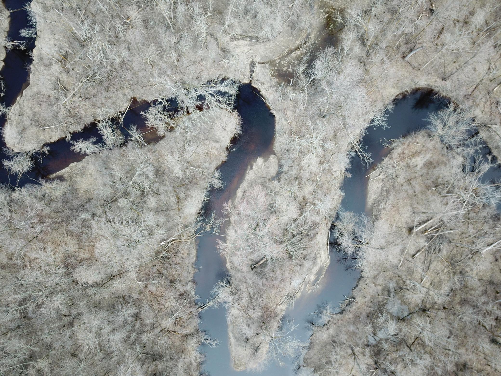 DJI_0018.JPG