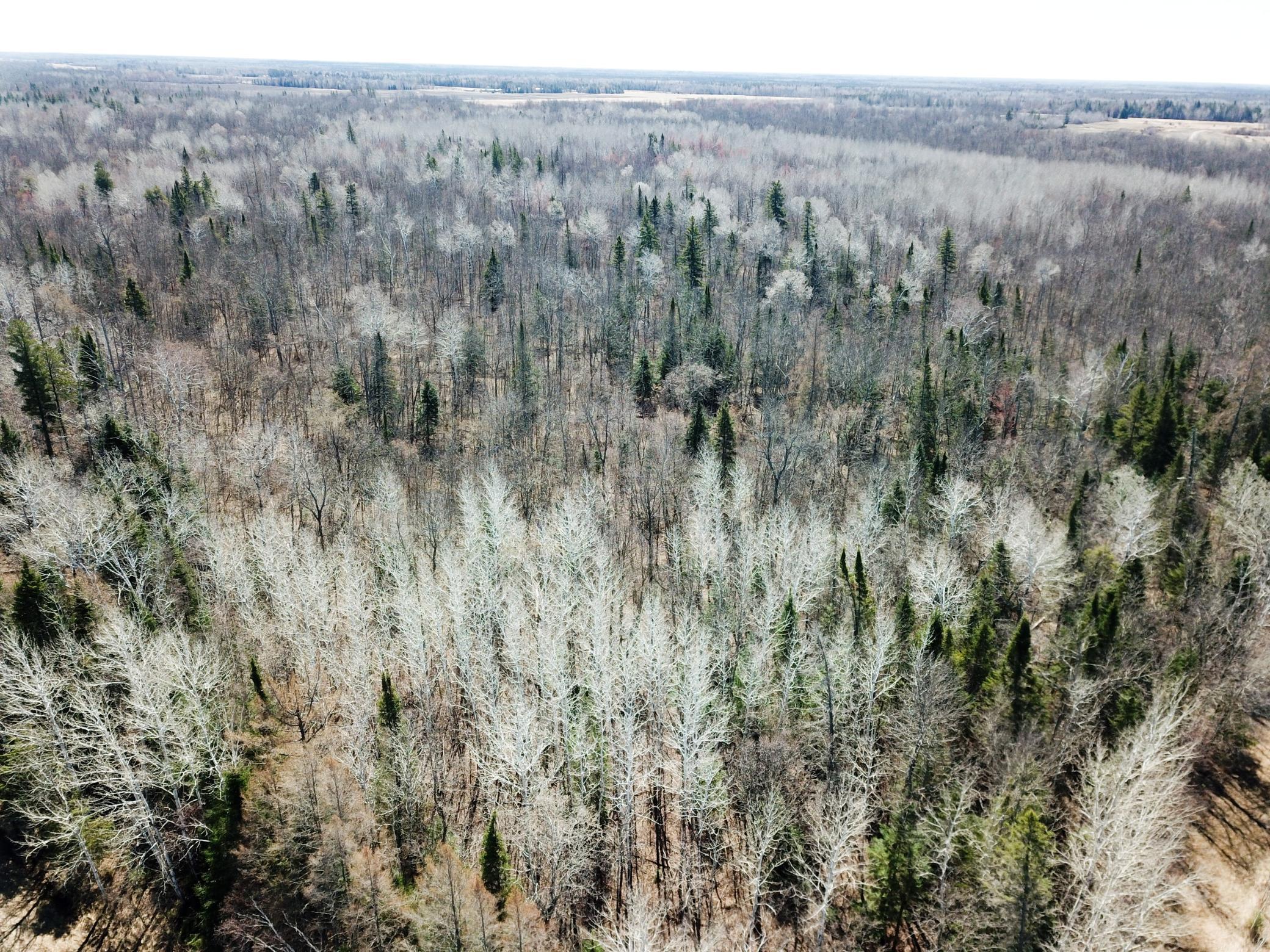 DJI_0029.JPG