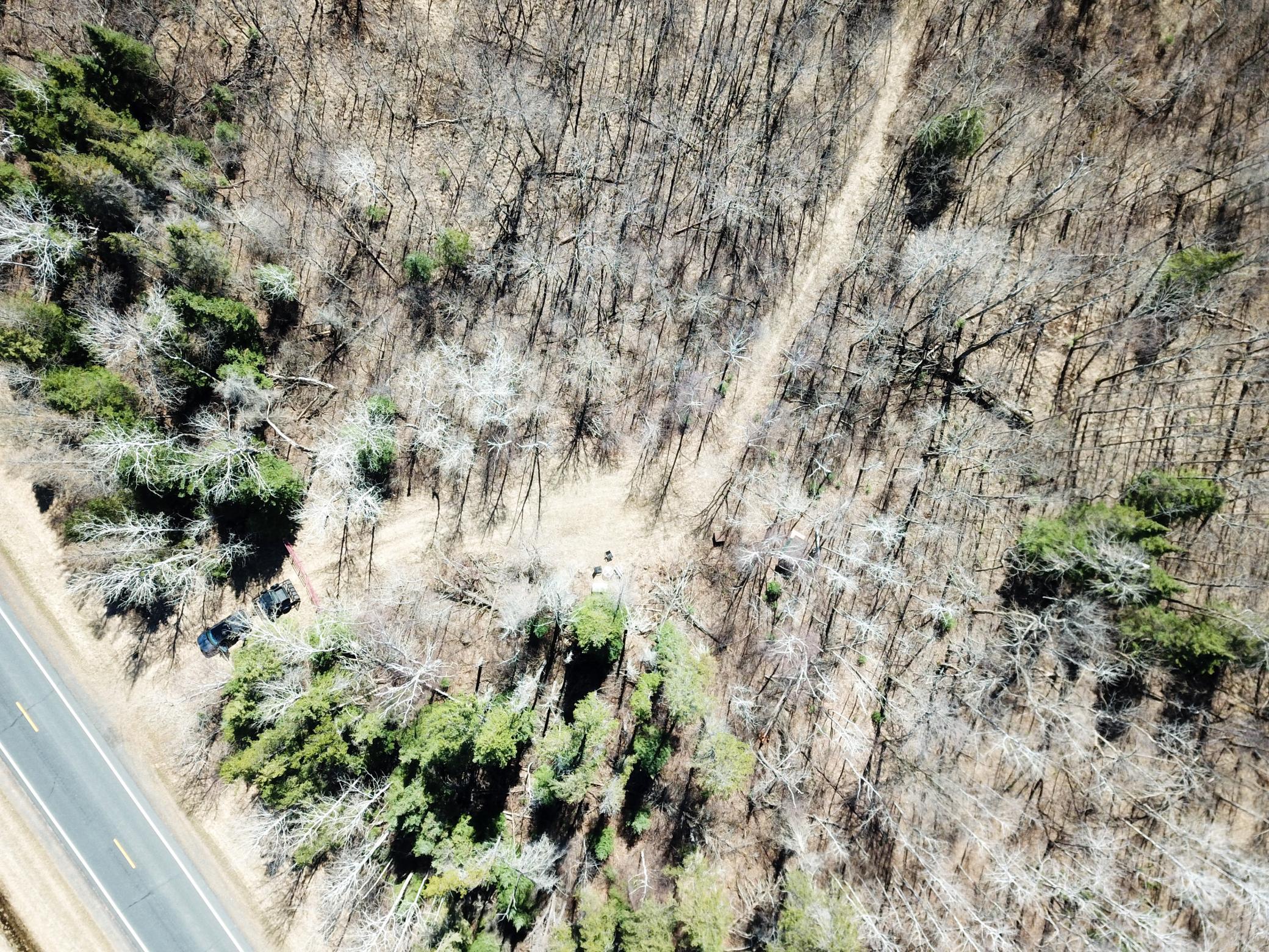 DJI_0037.JPG