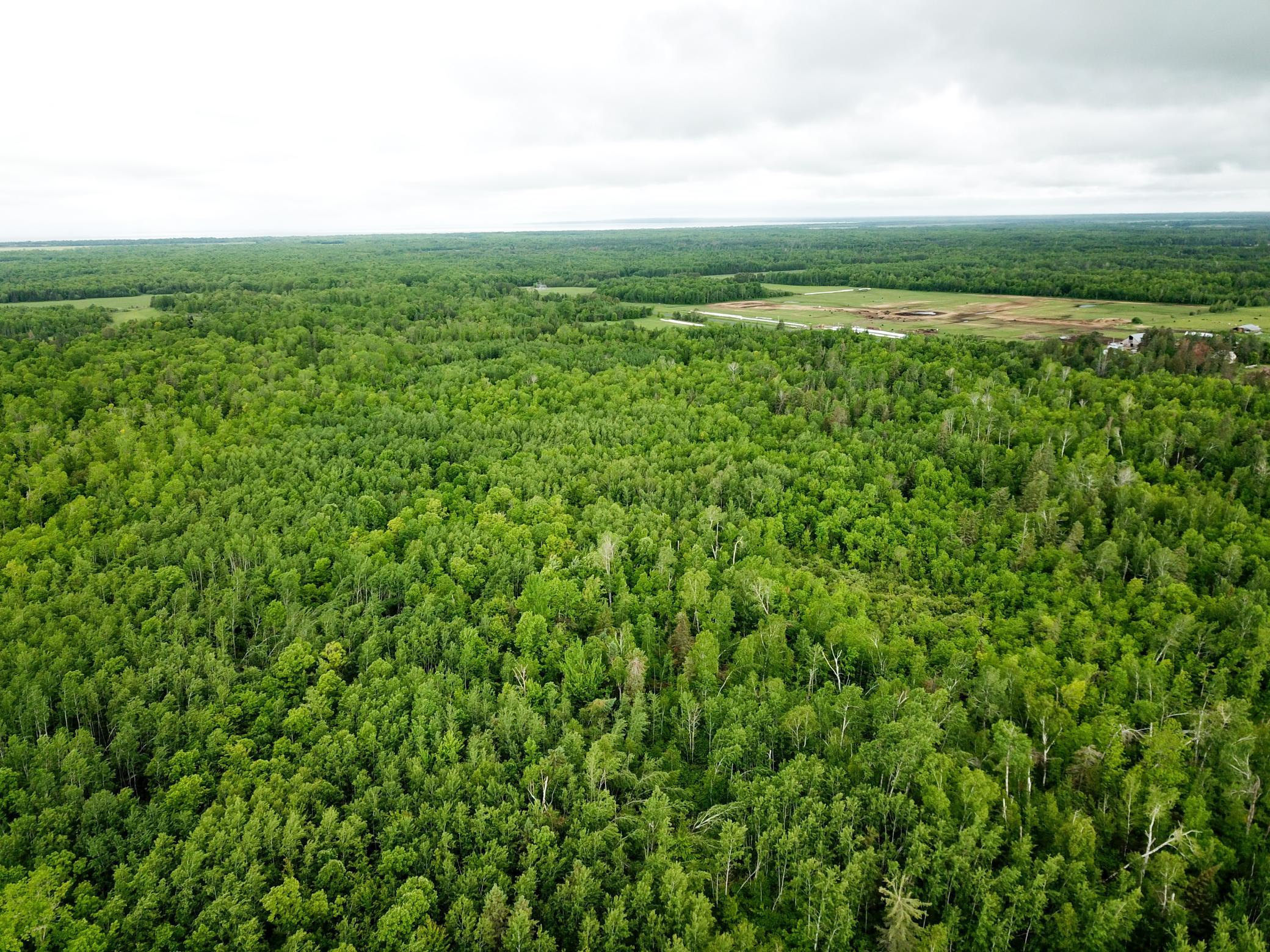 DJI_0019.JPG