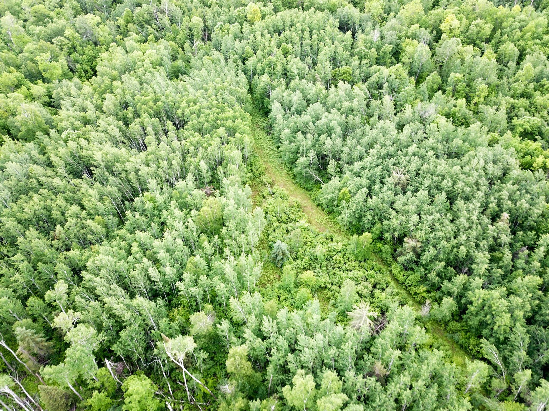 DJI_0021.JPG