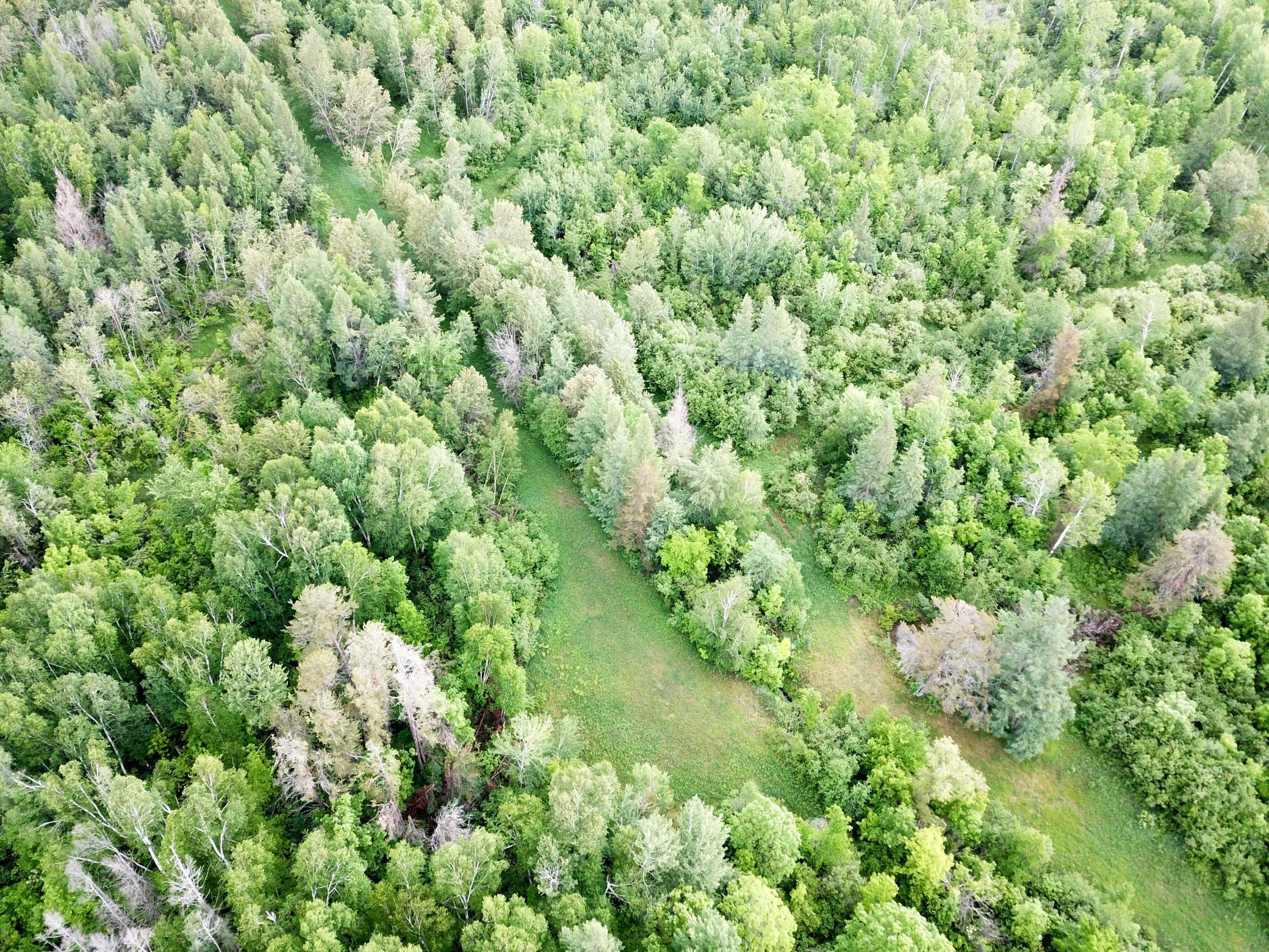 DJI_0023.JPG