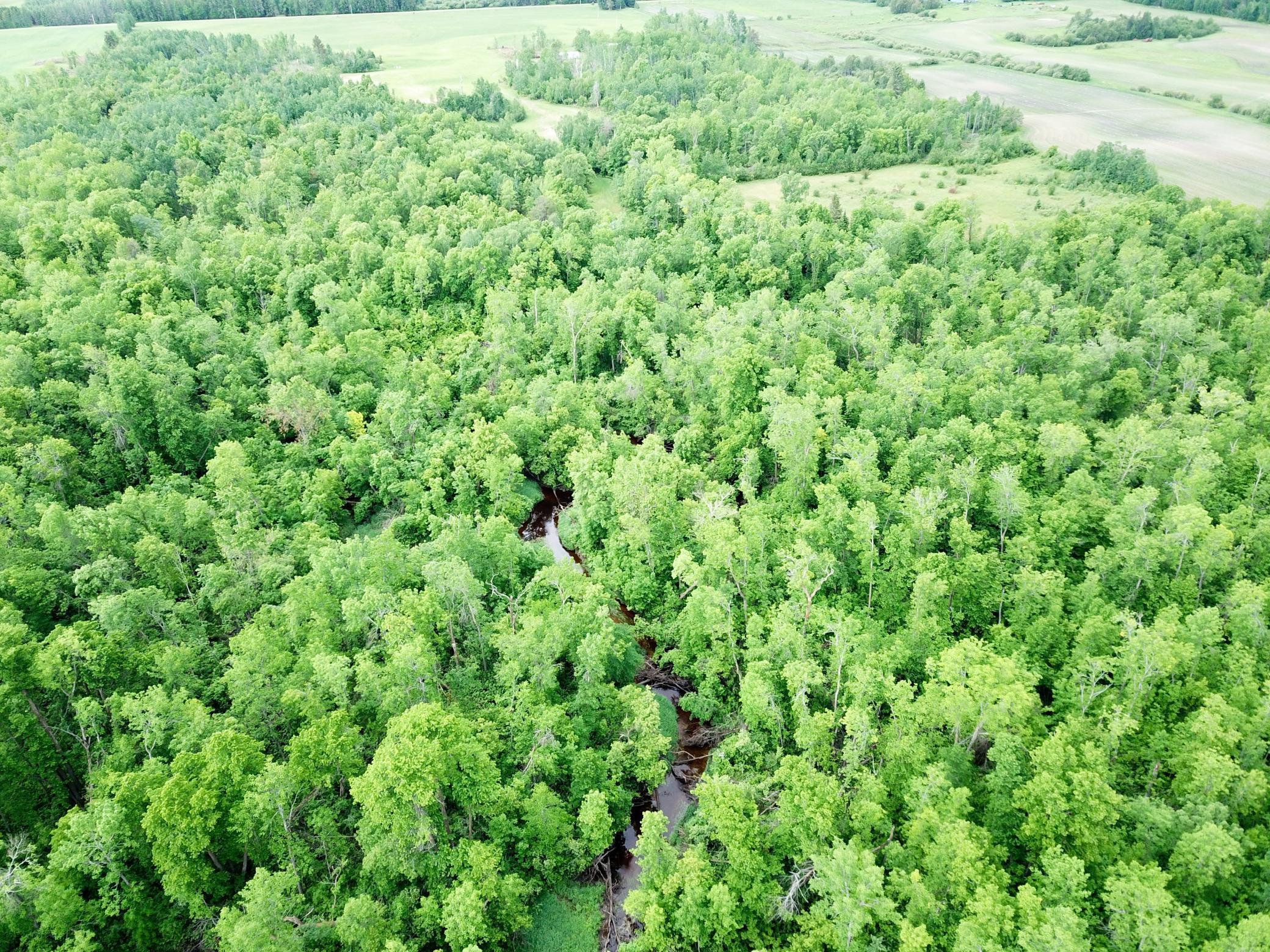 DJI_0014.JPG