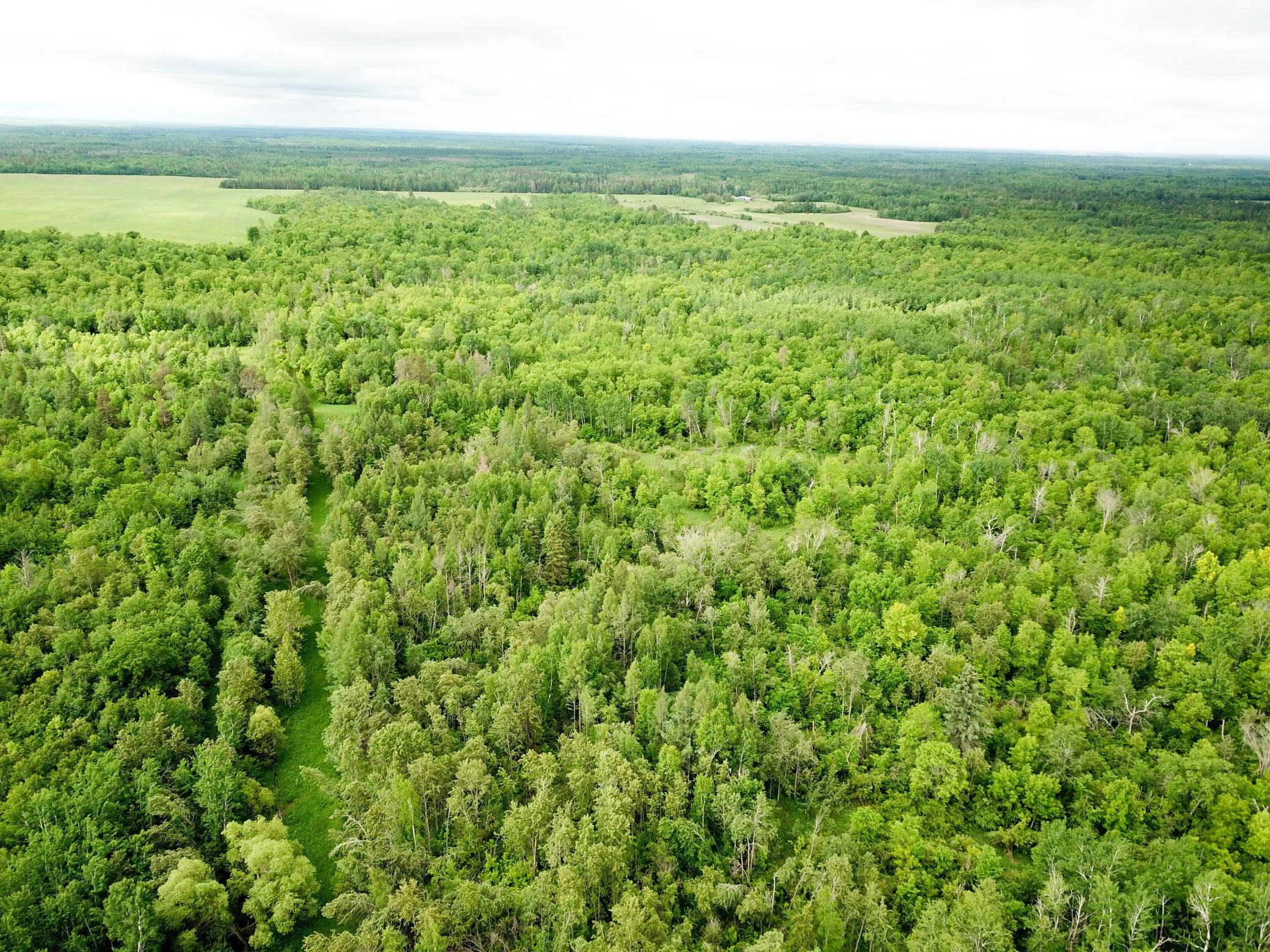 DJI_0004.JPG