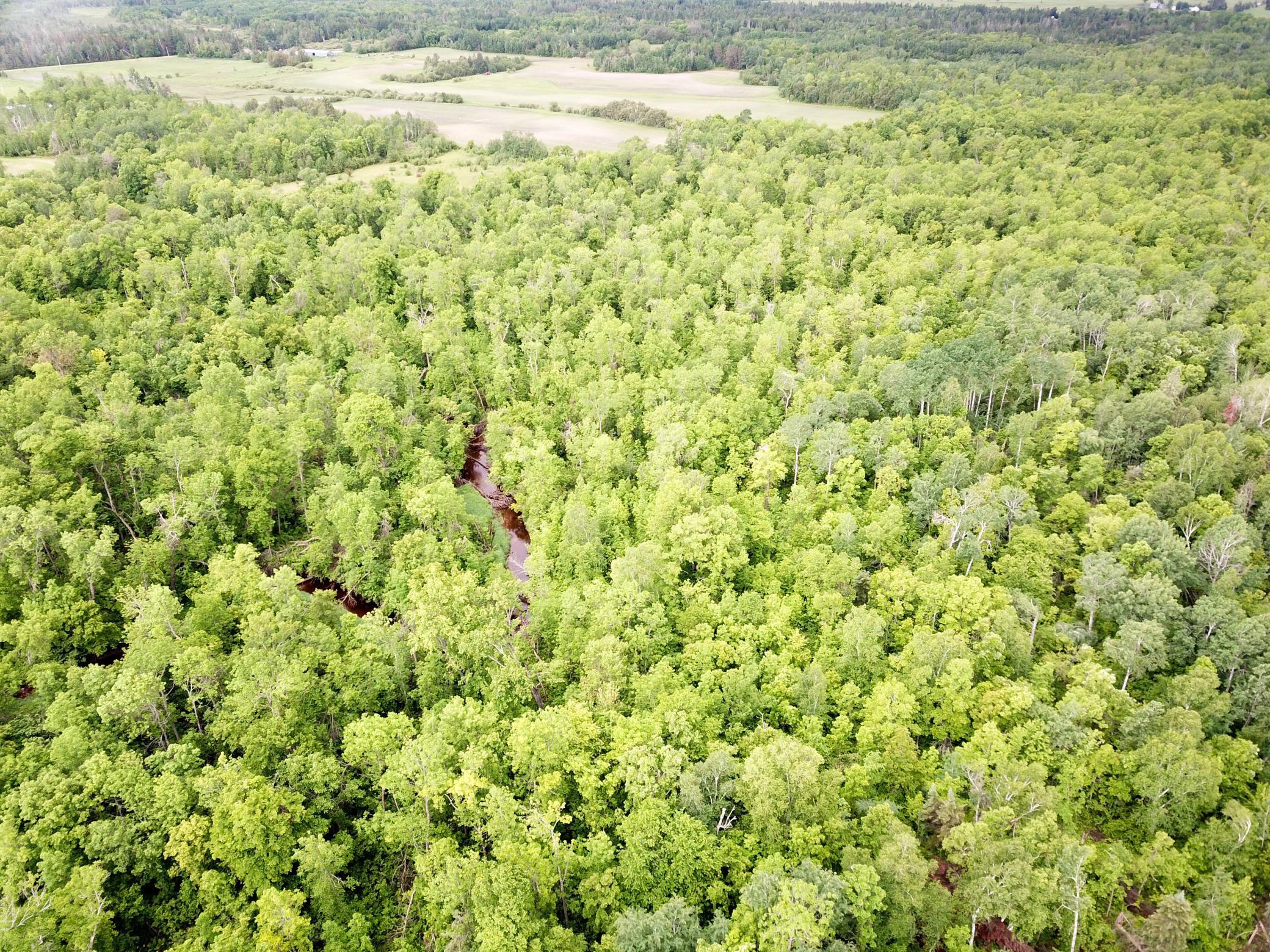 DJI_0008.JPG