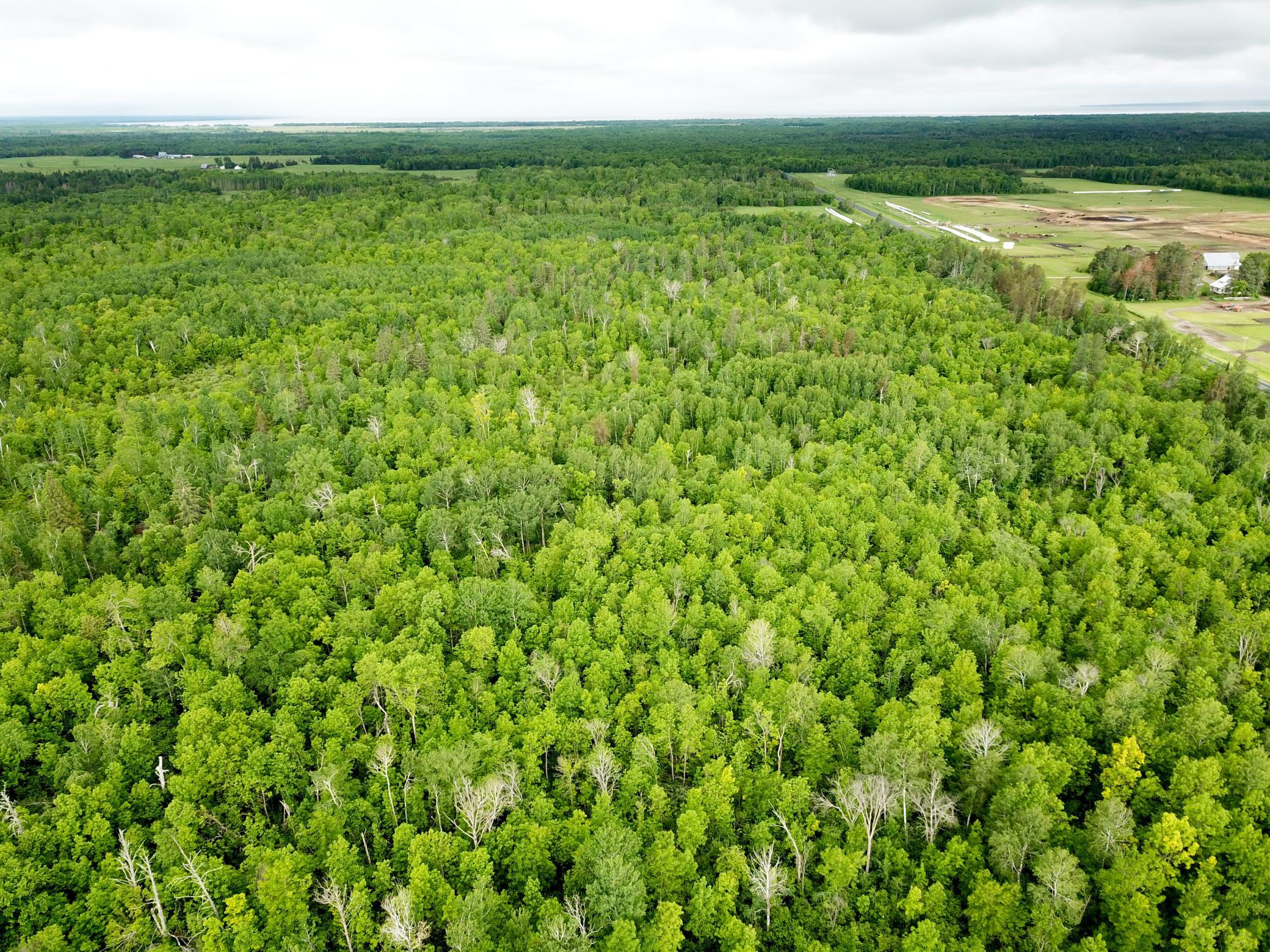 DJI_0006.JPG