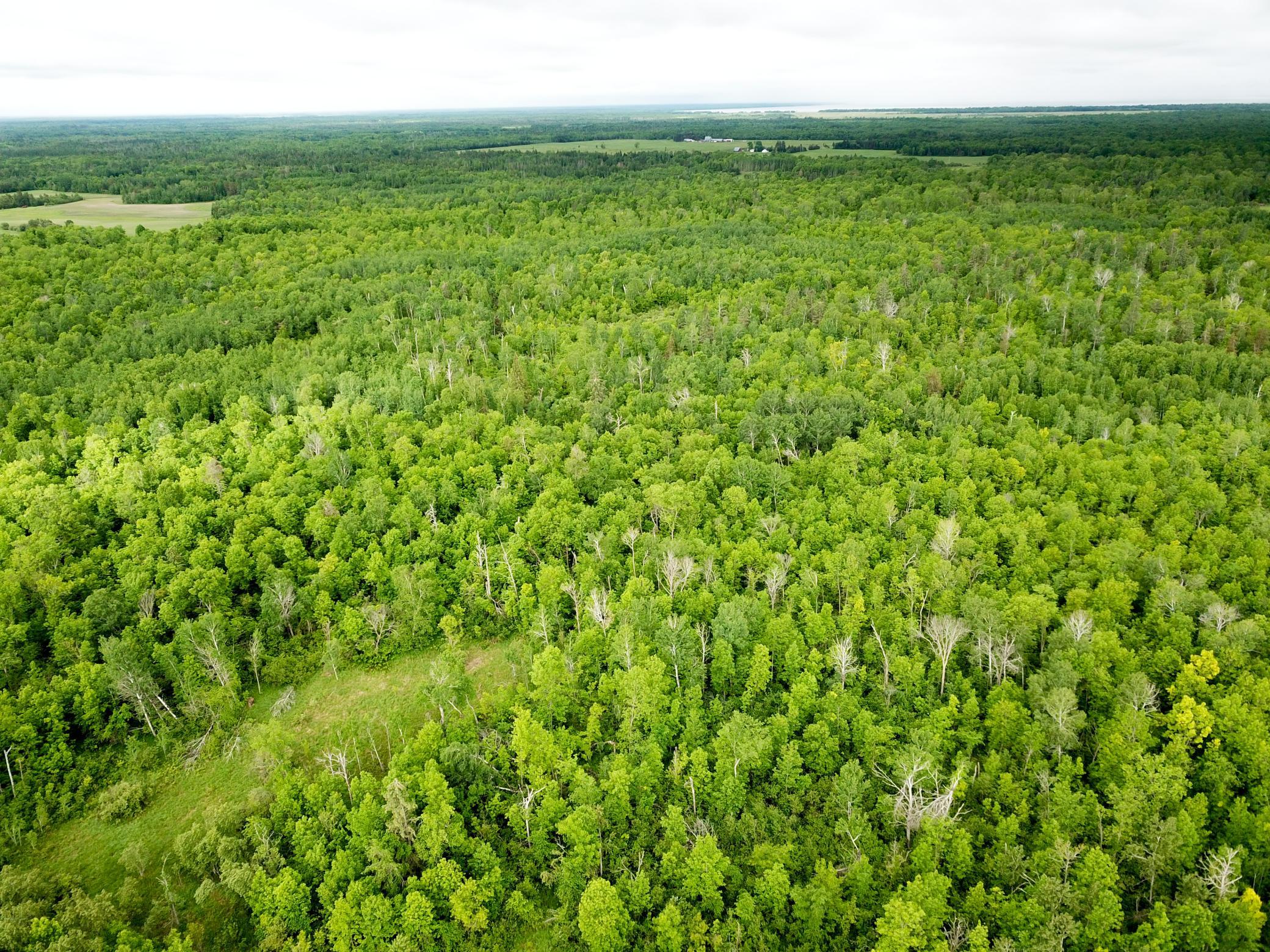 DJI_0005.JPG
