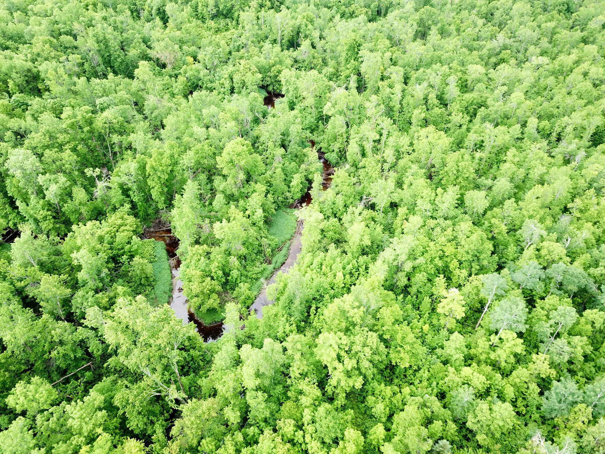 DJI_0013.JPG