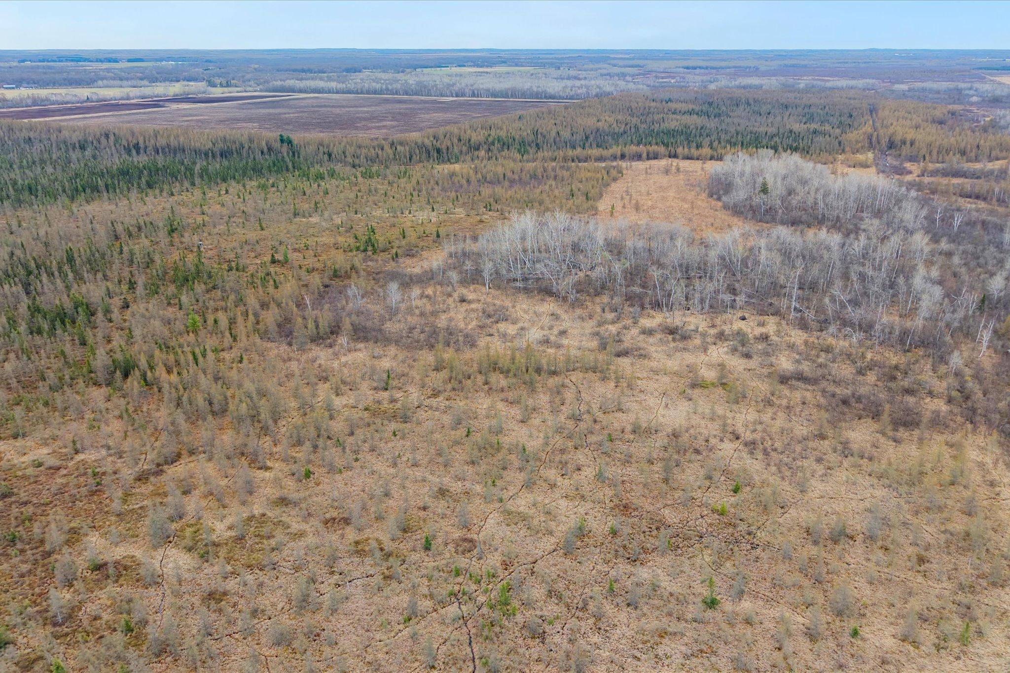 40 Acres