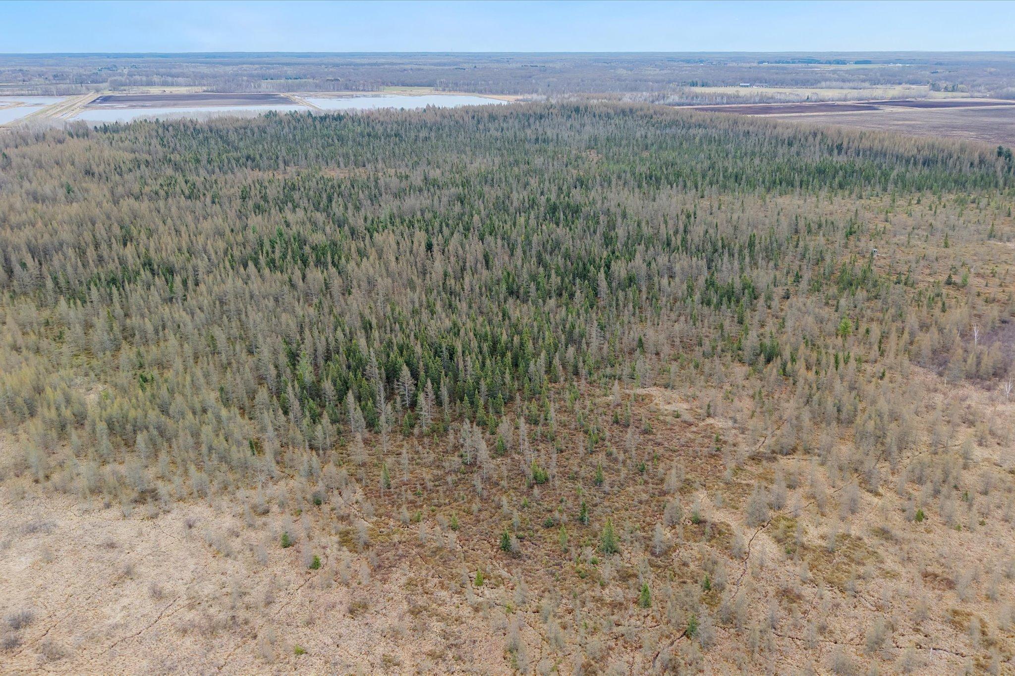 40 Acres