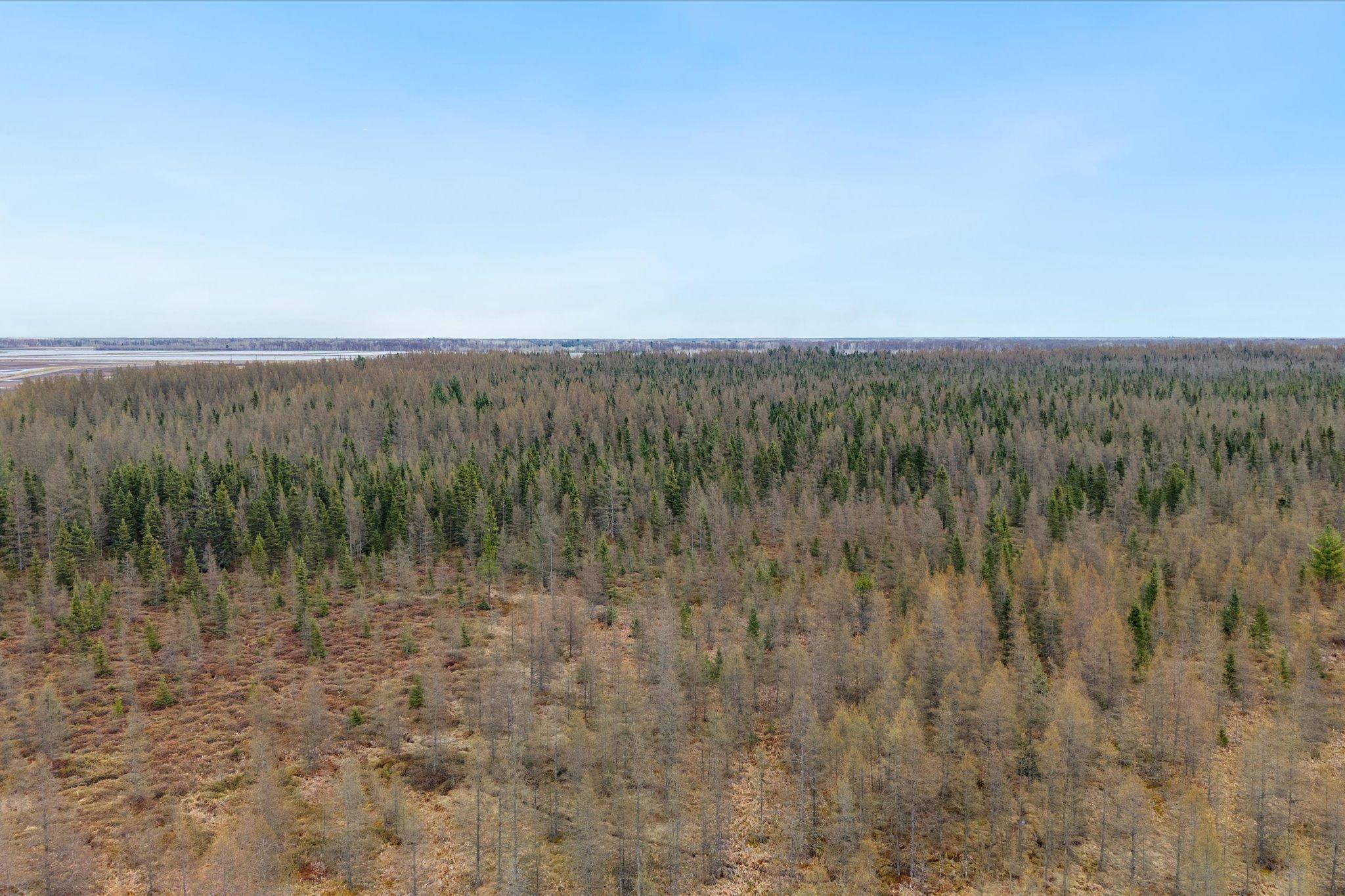 Over view