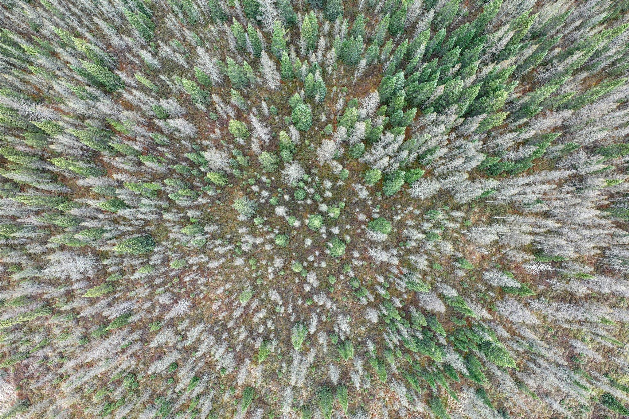 Over view