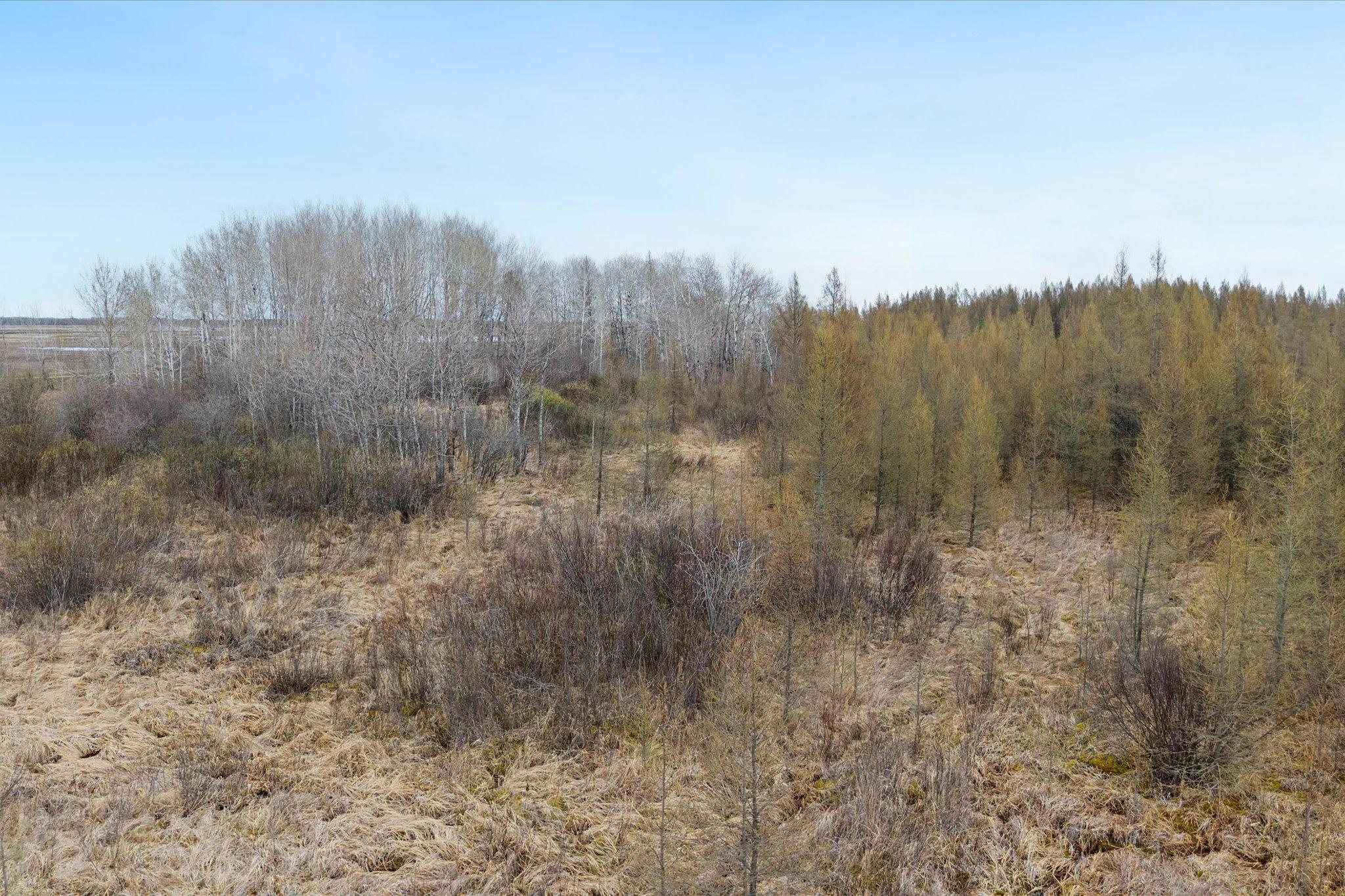 40 Acres