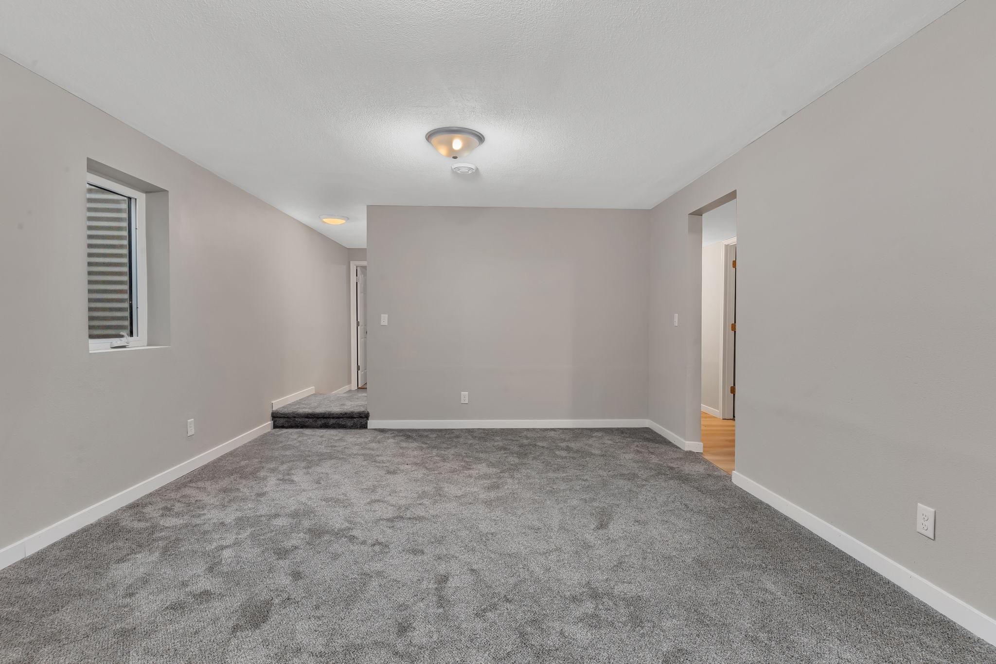 Lower level family room!