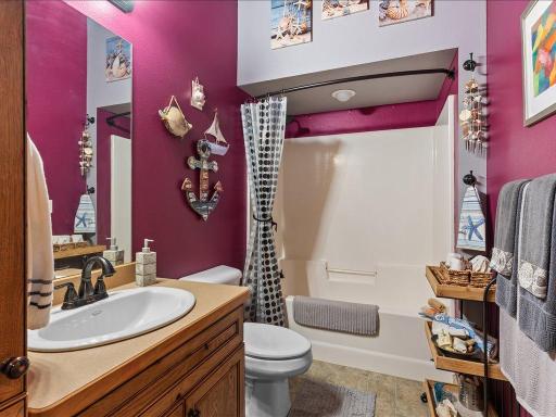 Lower level bathroom