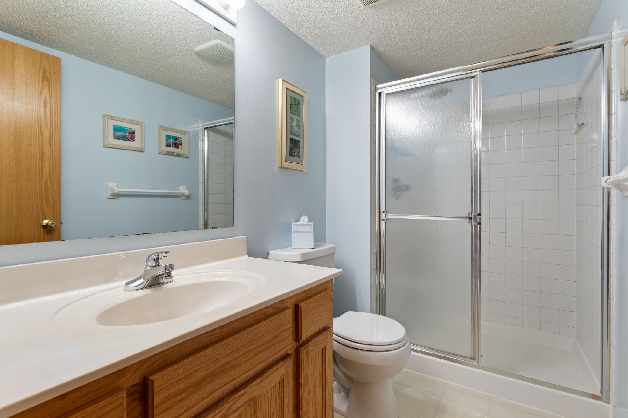 Lower Level bath with tiled shower surround