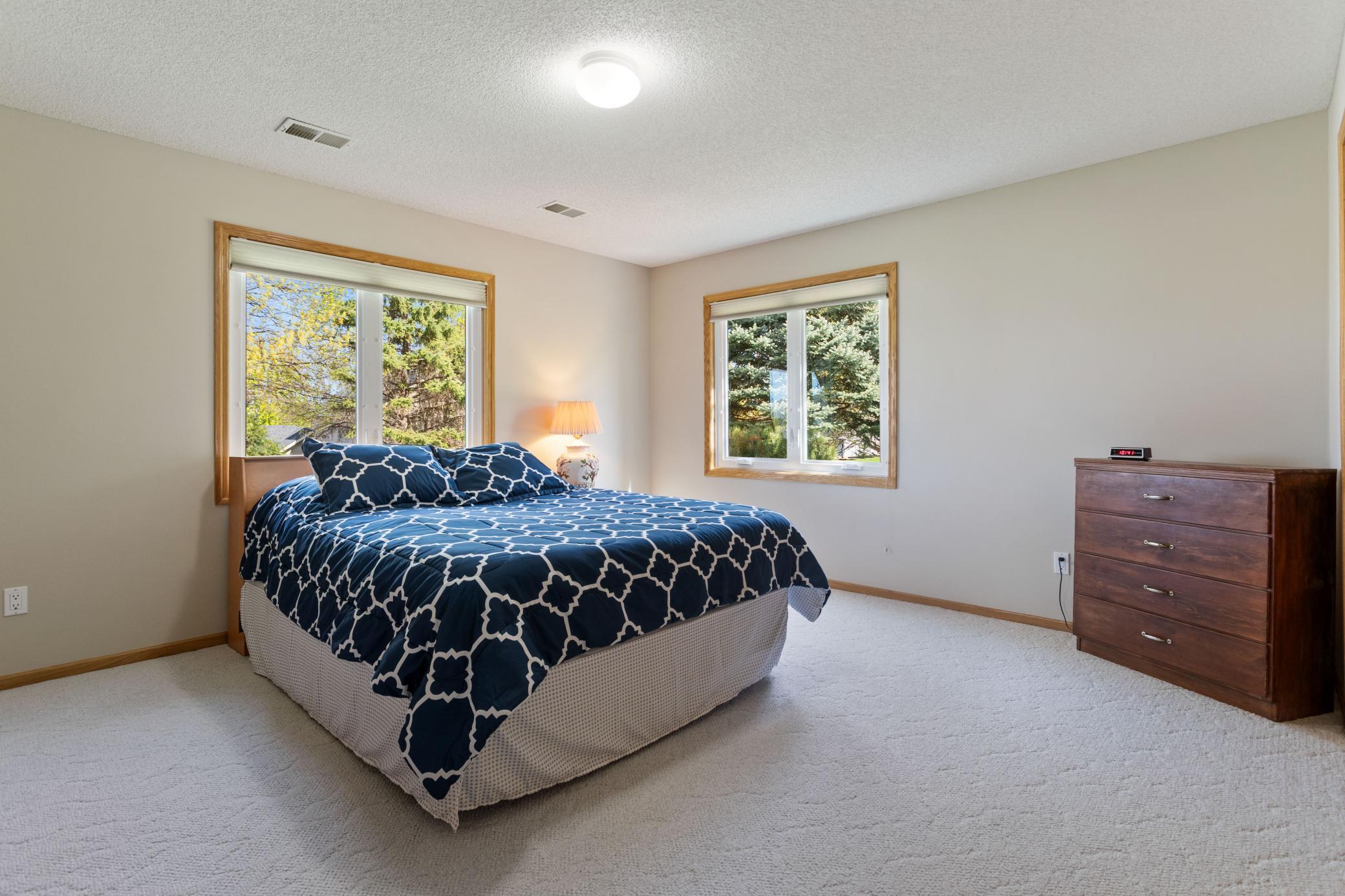 Bedroom #4 Lower level with 2 windows and spacious closet