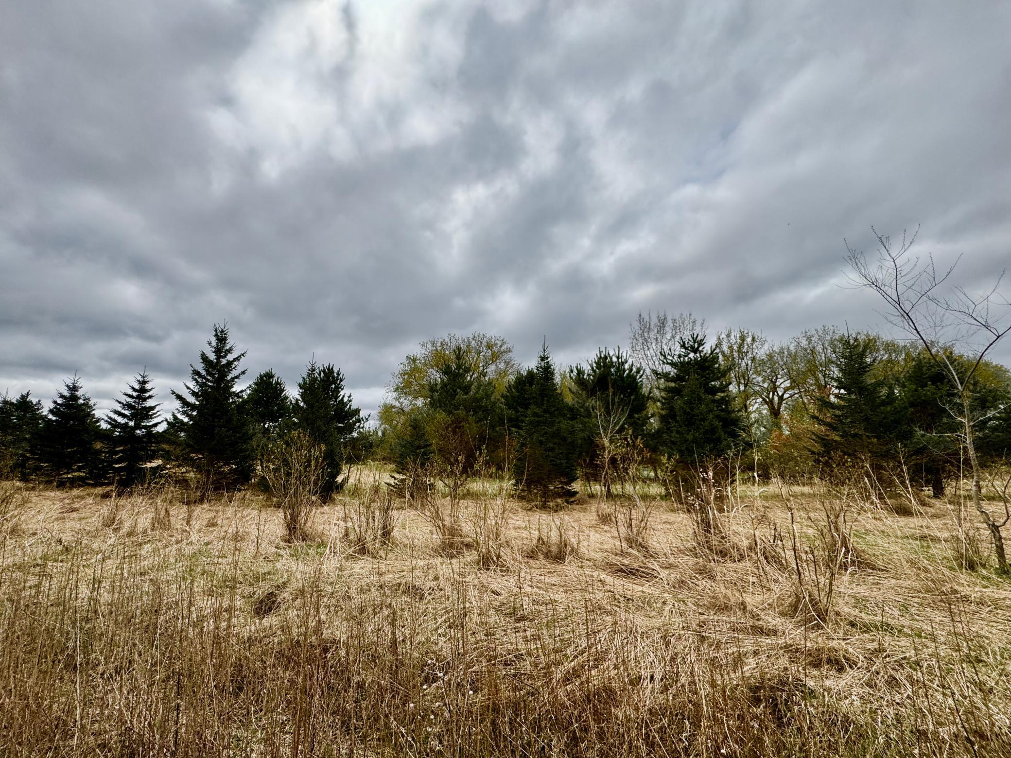 Spring view of land behind the lot.