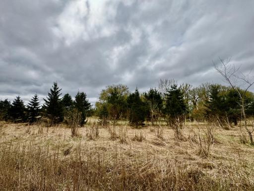 10817 Grand Lake Road, Cold Spring, MN 56320