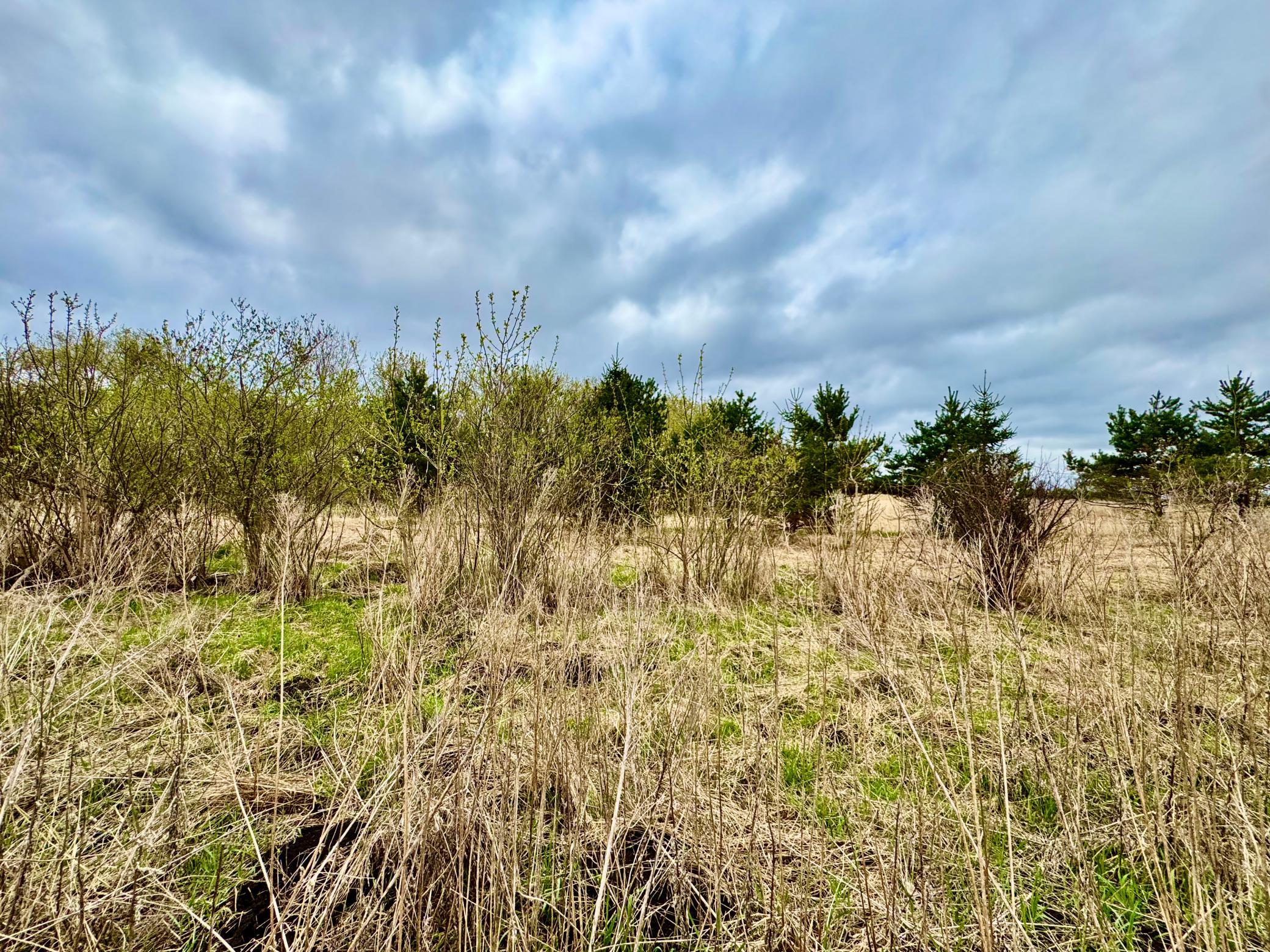 View of area behind lot 3 in the Spring.