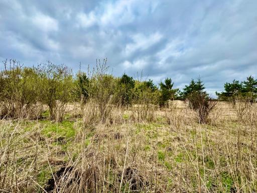 View of area behind lot 3 in the Spring.
