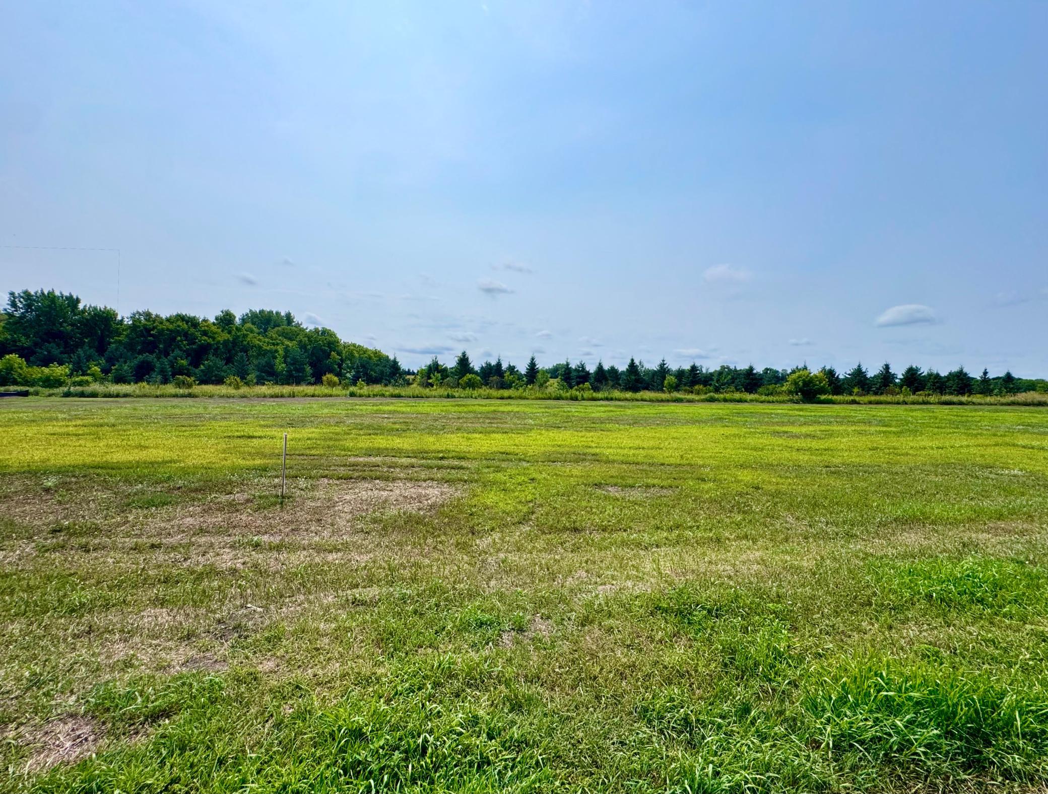 Summer view of lot 4.