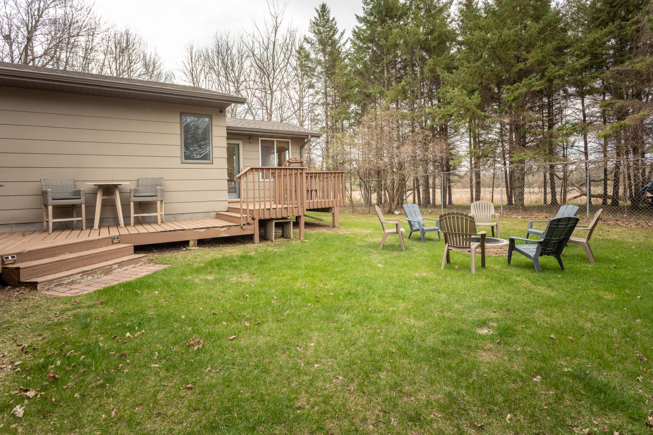 Wooded backyard