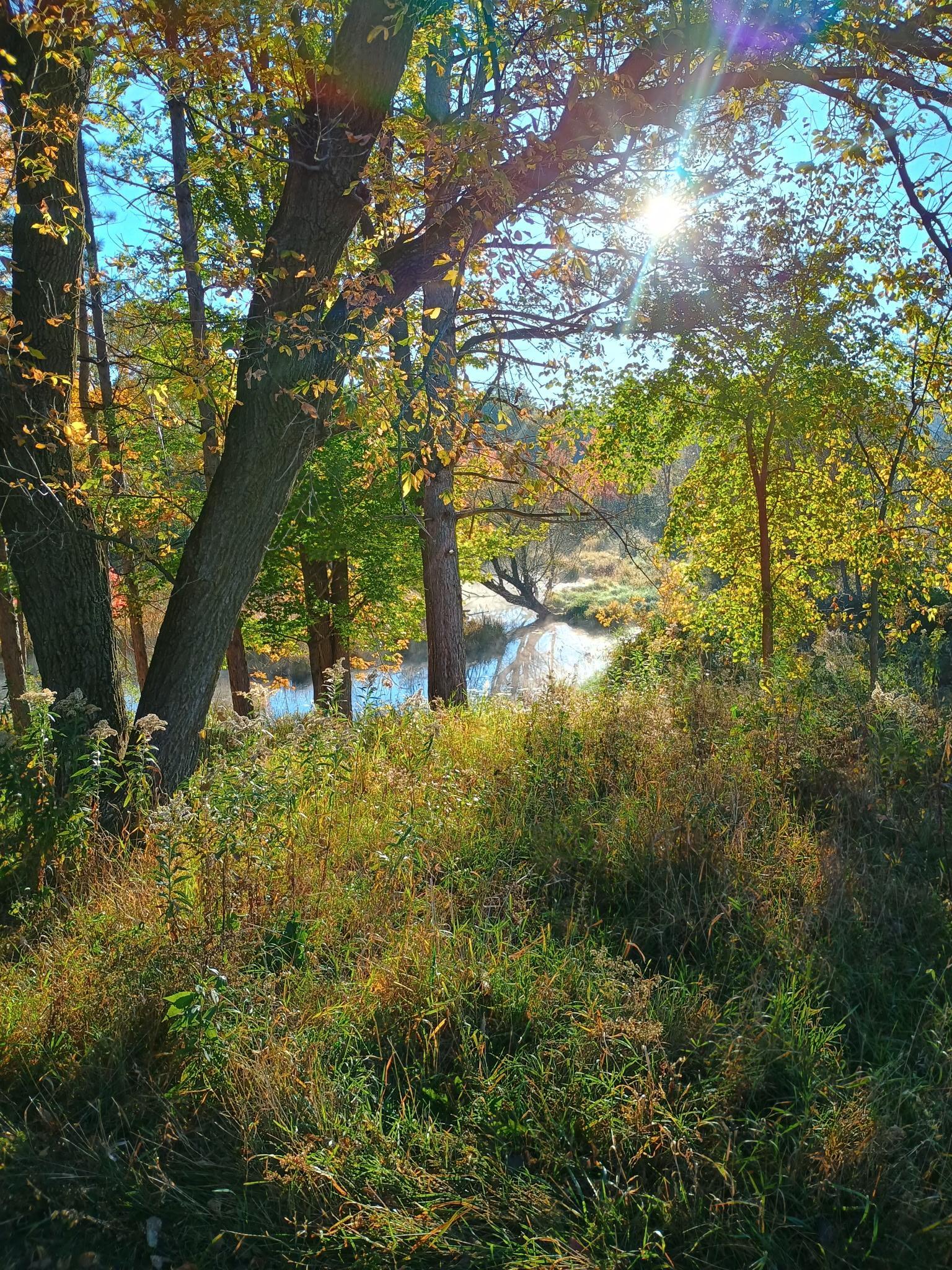 The property is adjacent to over 50 acres of undeveloped woods and wetland, enabling you to enjoy the peace and tranquility of the country with the convenience of being just outside town. 