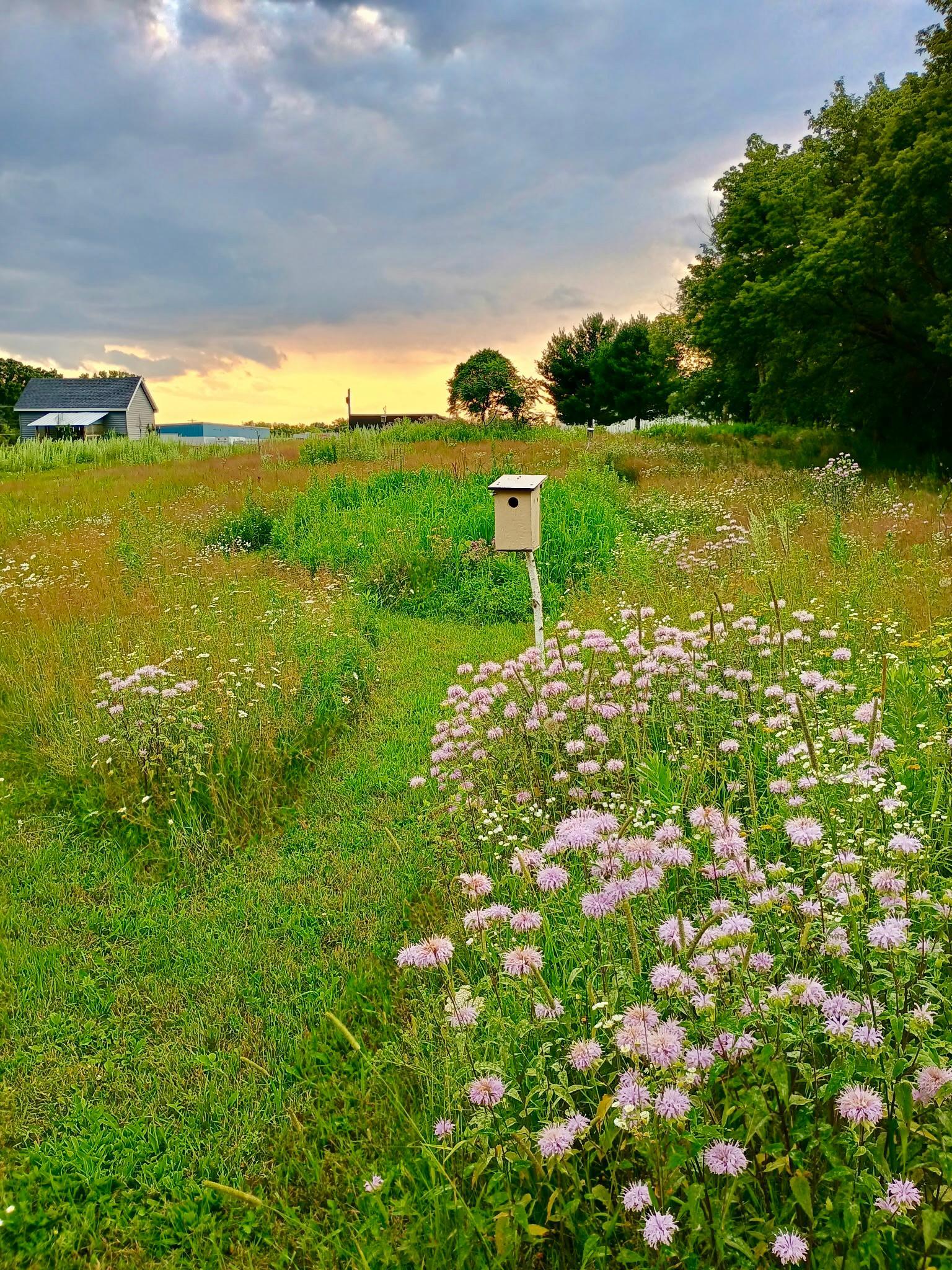 The property features a 1-acre wildflower meadow with mowed trails,.