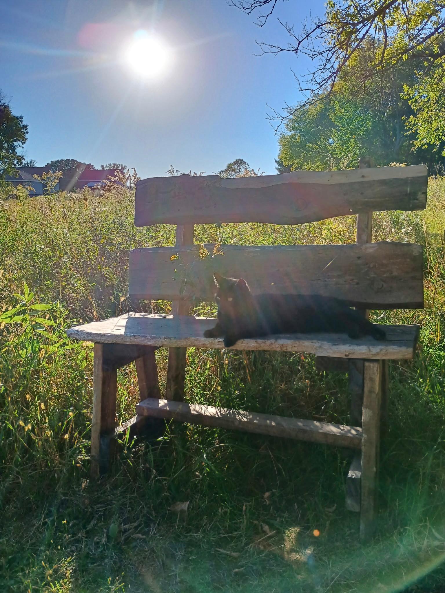 For a birder, nature lover, or outdoors person, this location can't be beat.