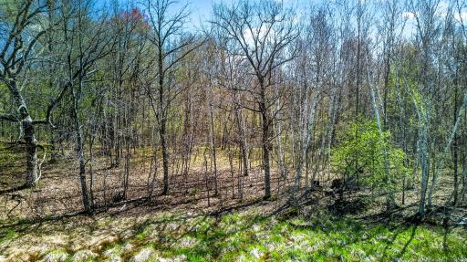 Only one 5-acre wooded lot is available! (Parcel 2 sold!)