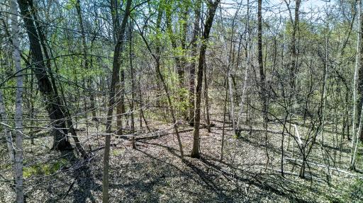 Only one 5-acre wooded lot is available! (Parcel 2 sold!)