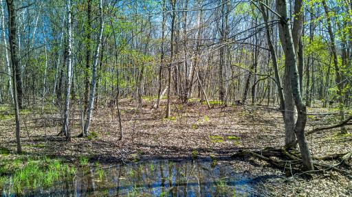 Only one 5-acre wooded lot is available! (Parcel 2 sold!)