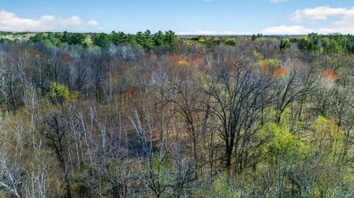 Only one 5-acre wooded lot is available! (Parcel 2 sold!)