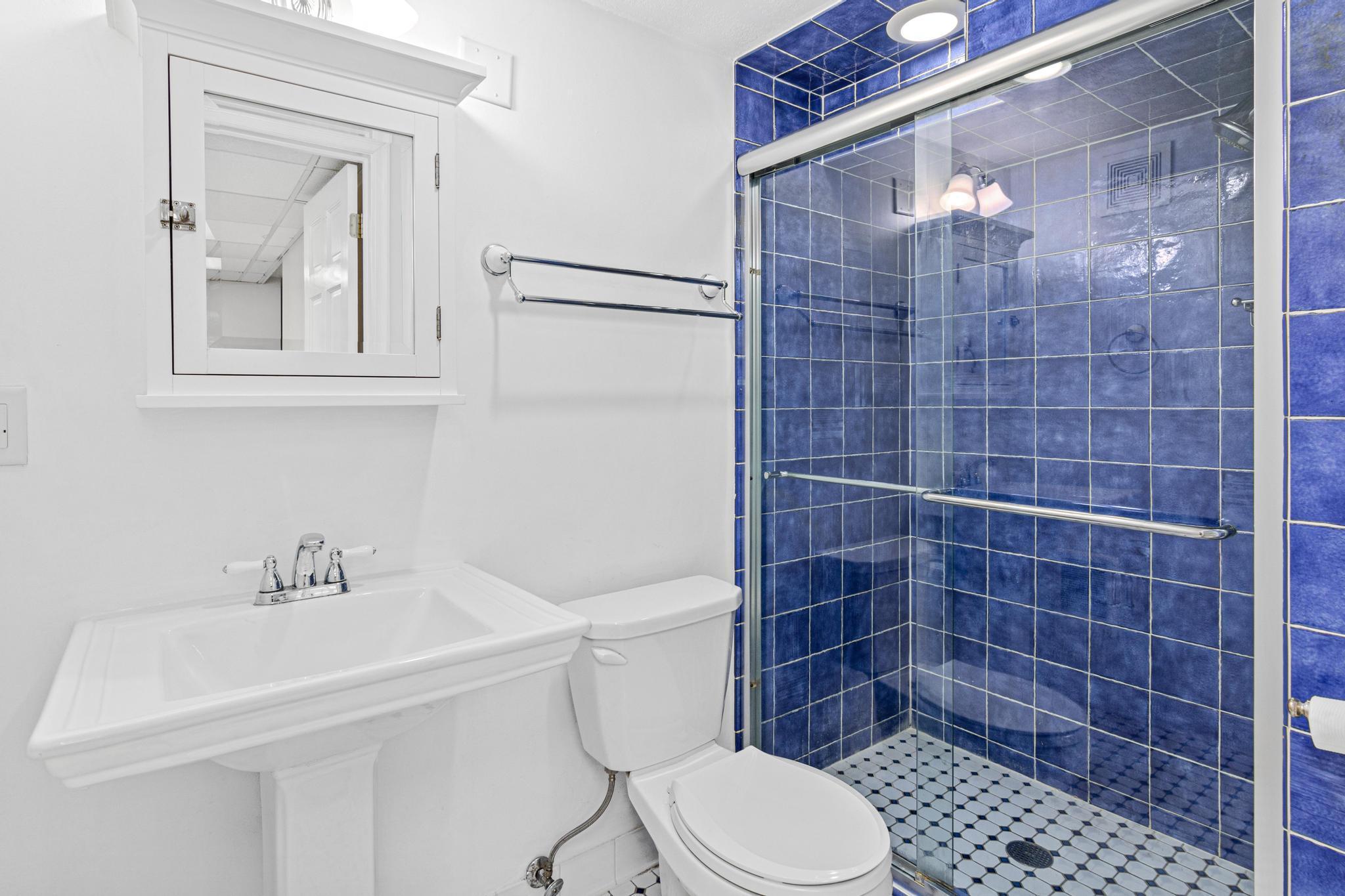 Basement bathroom