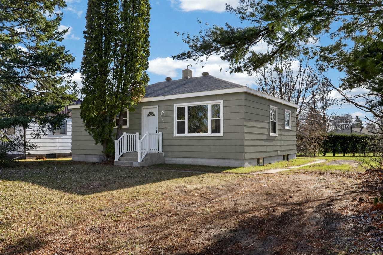 AI Exterior Color Option 1