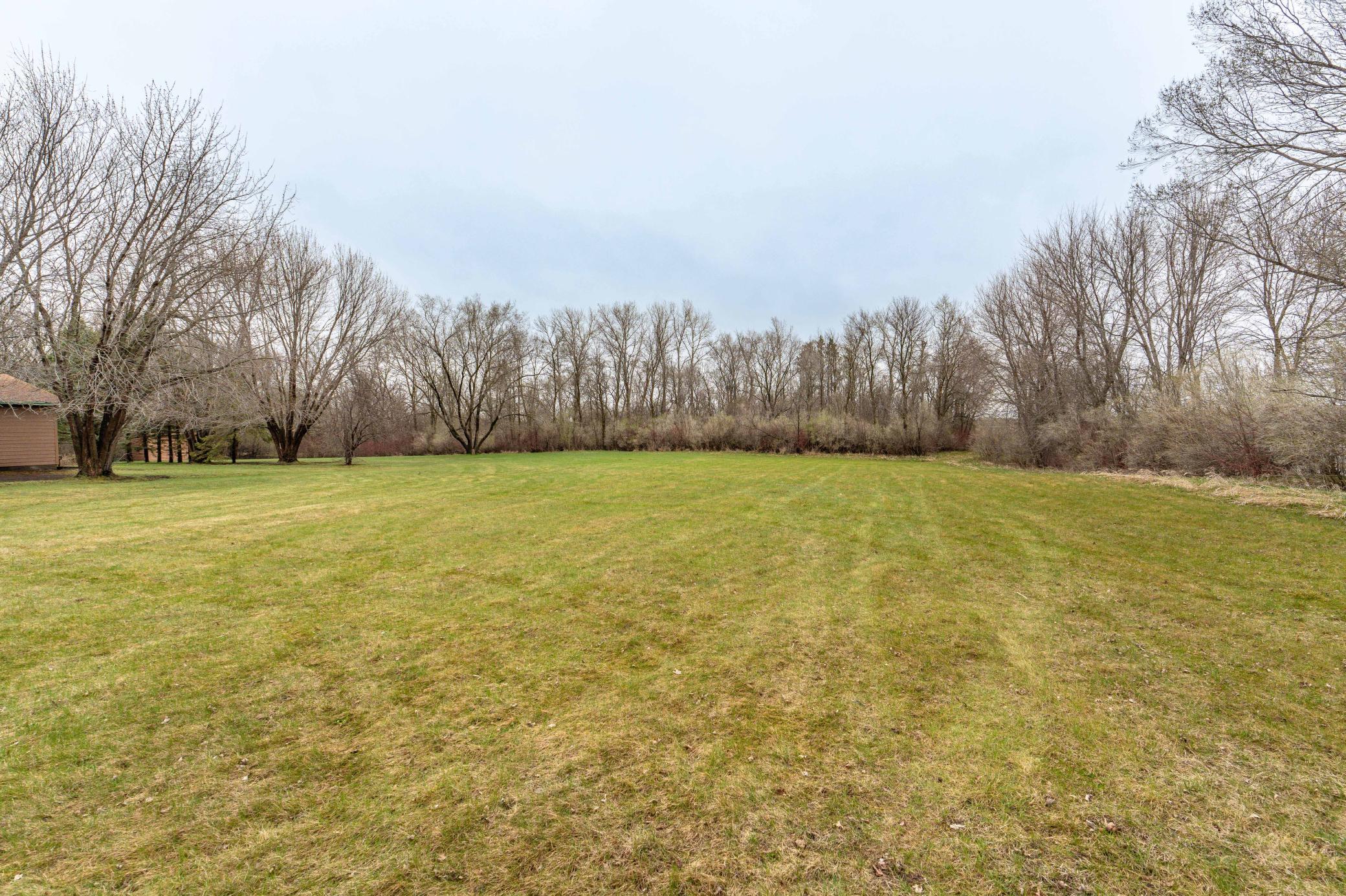 Potential Space for Horses