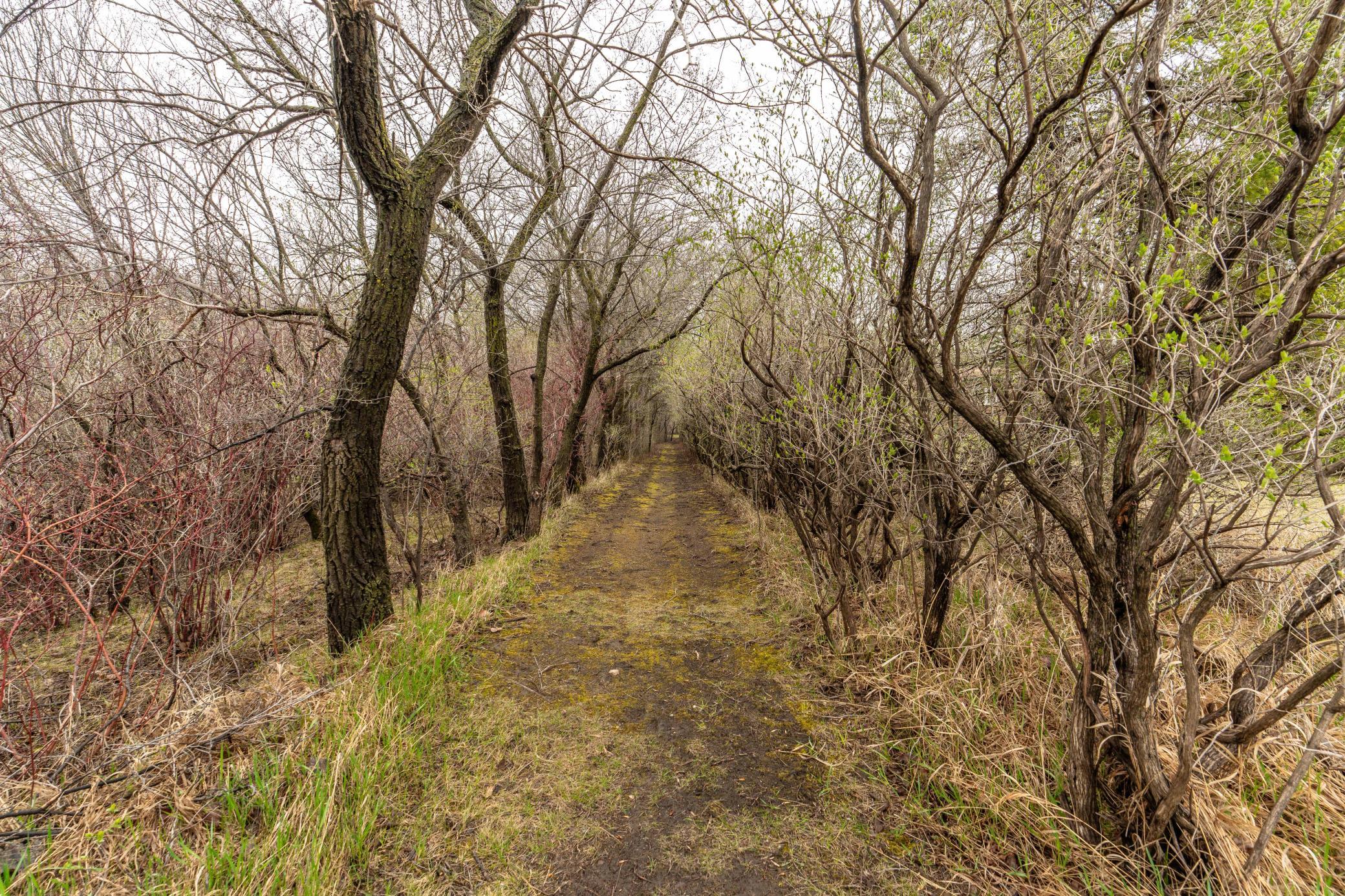 Walk the Trails During Your Showing