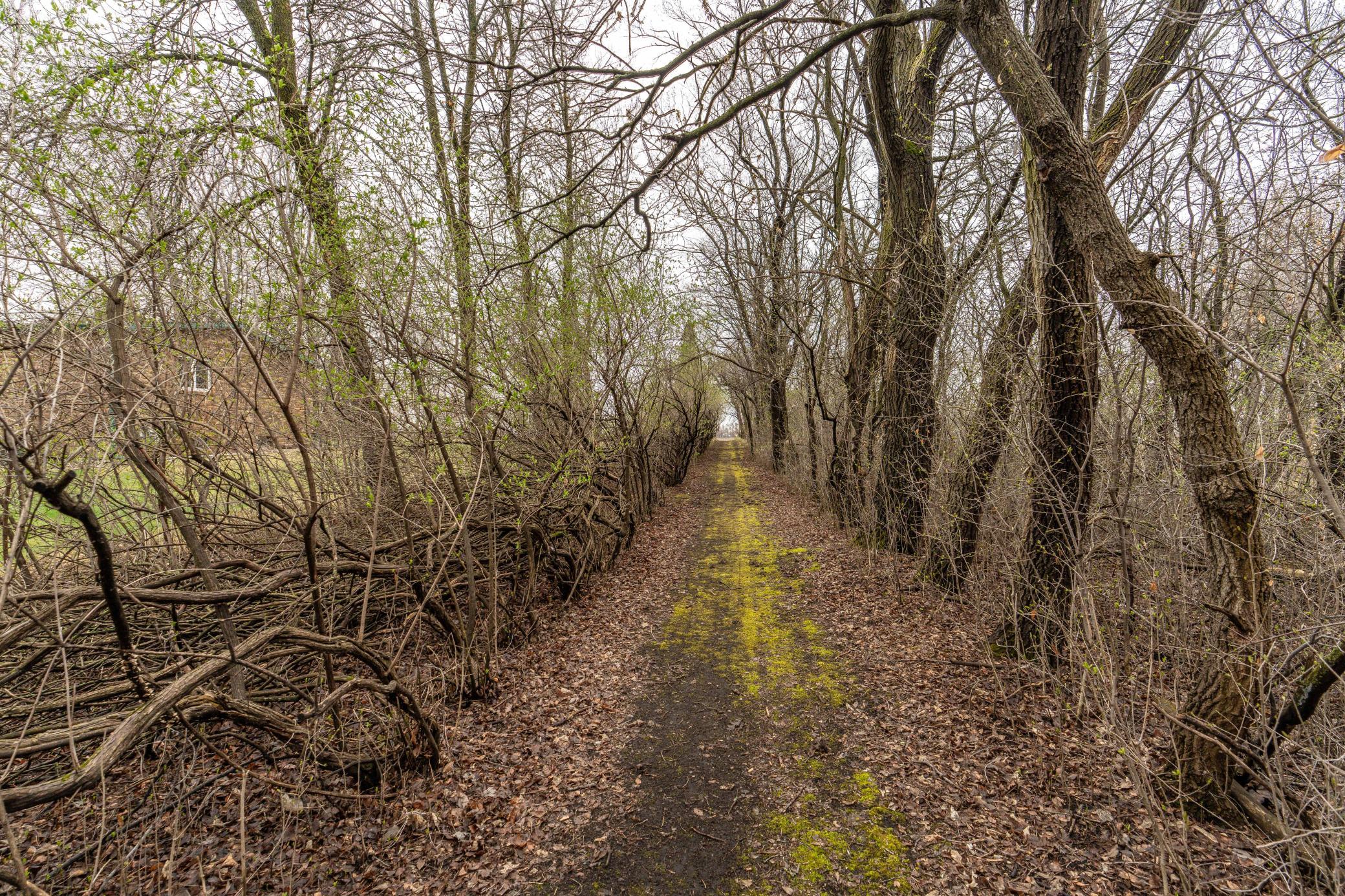 Calming Trails