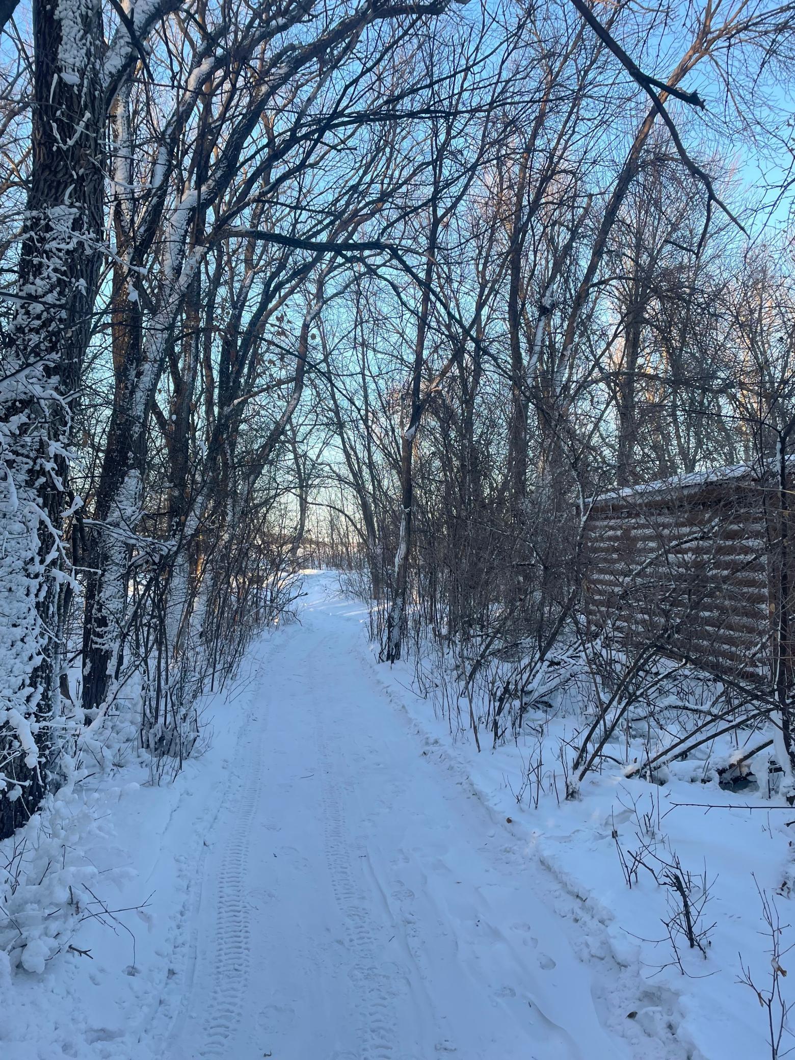 Winter Activities on the Trail