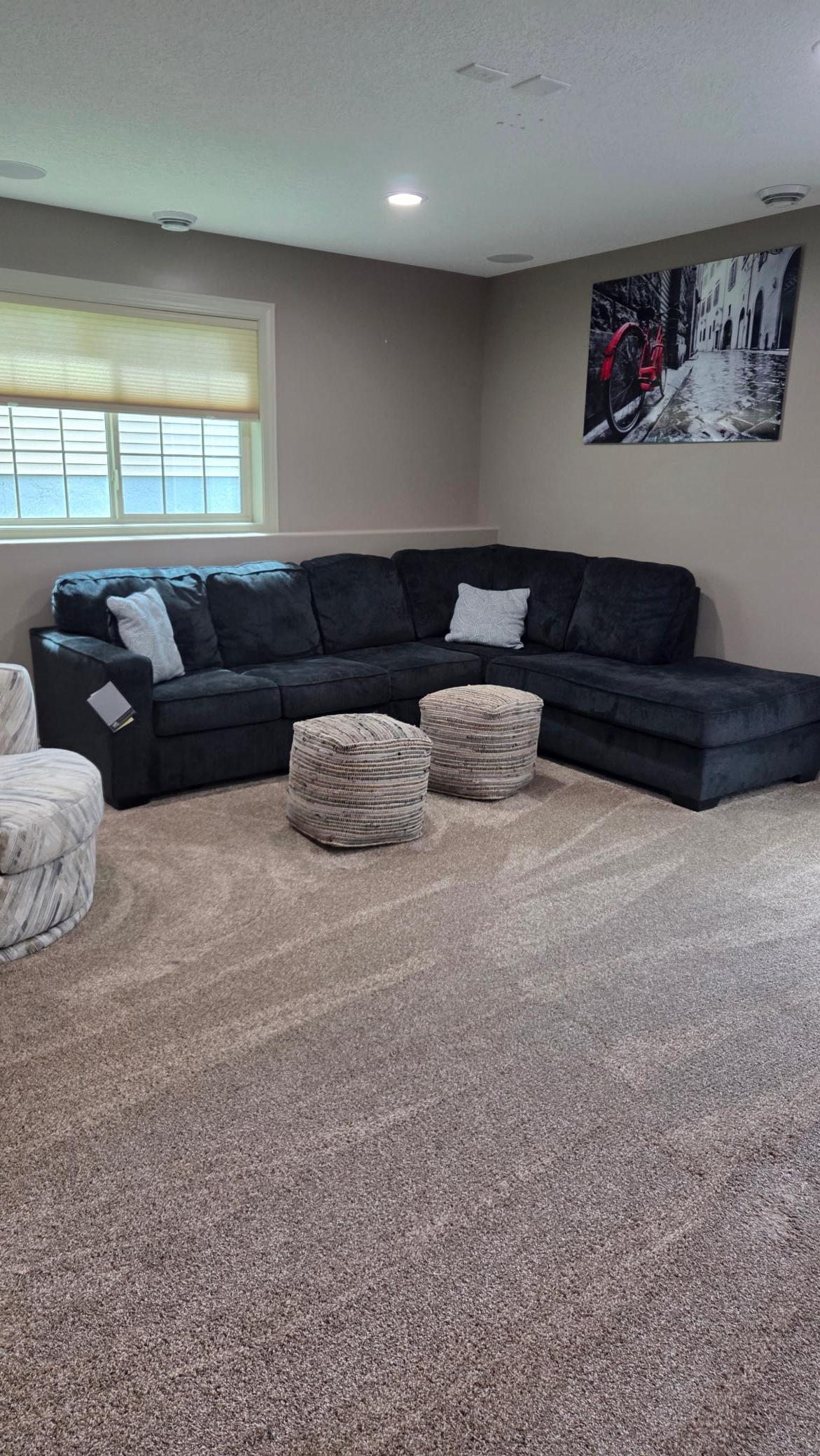 Lower Level Family Room
