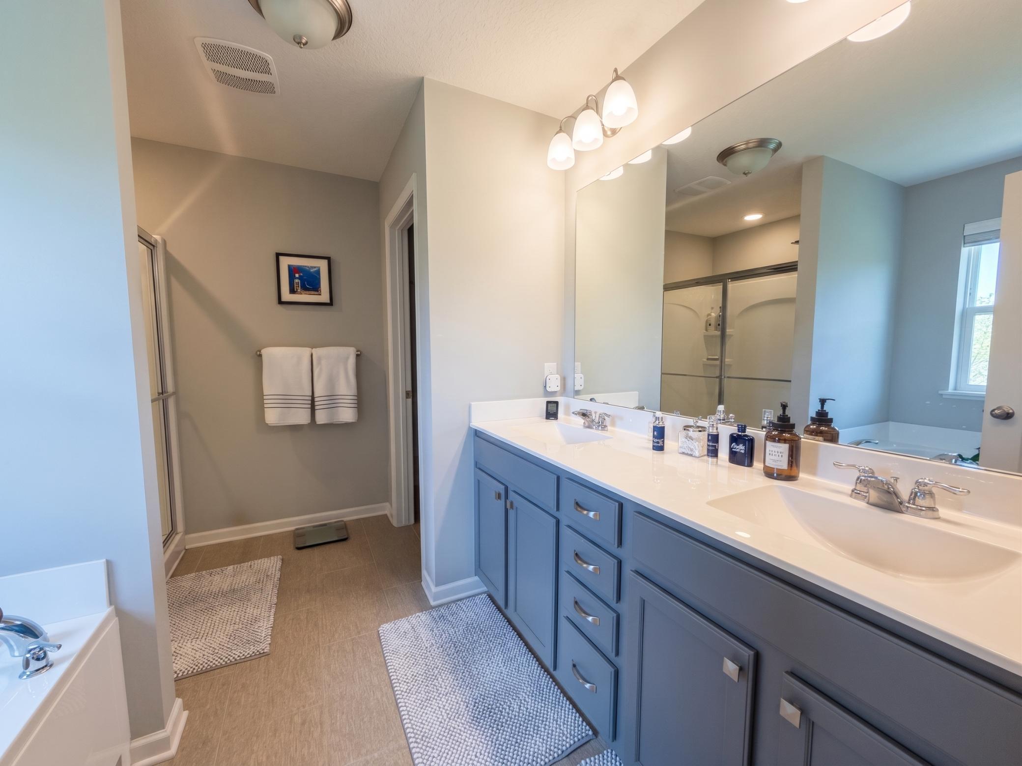 Primary Suite Bathroom