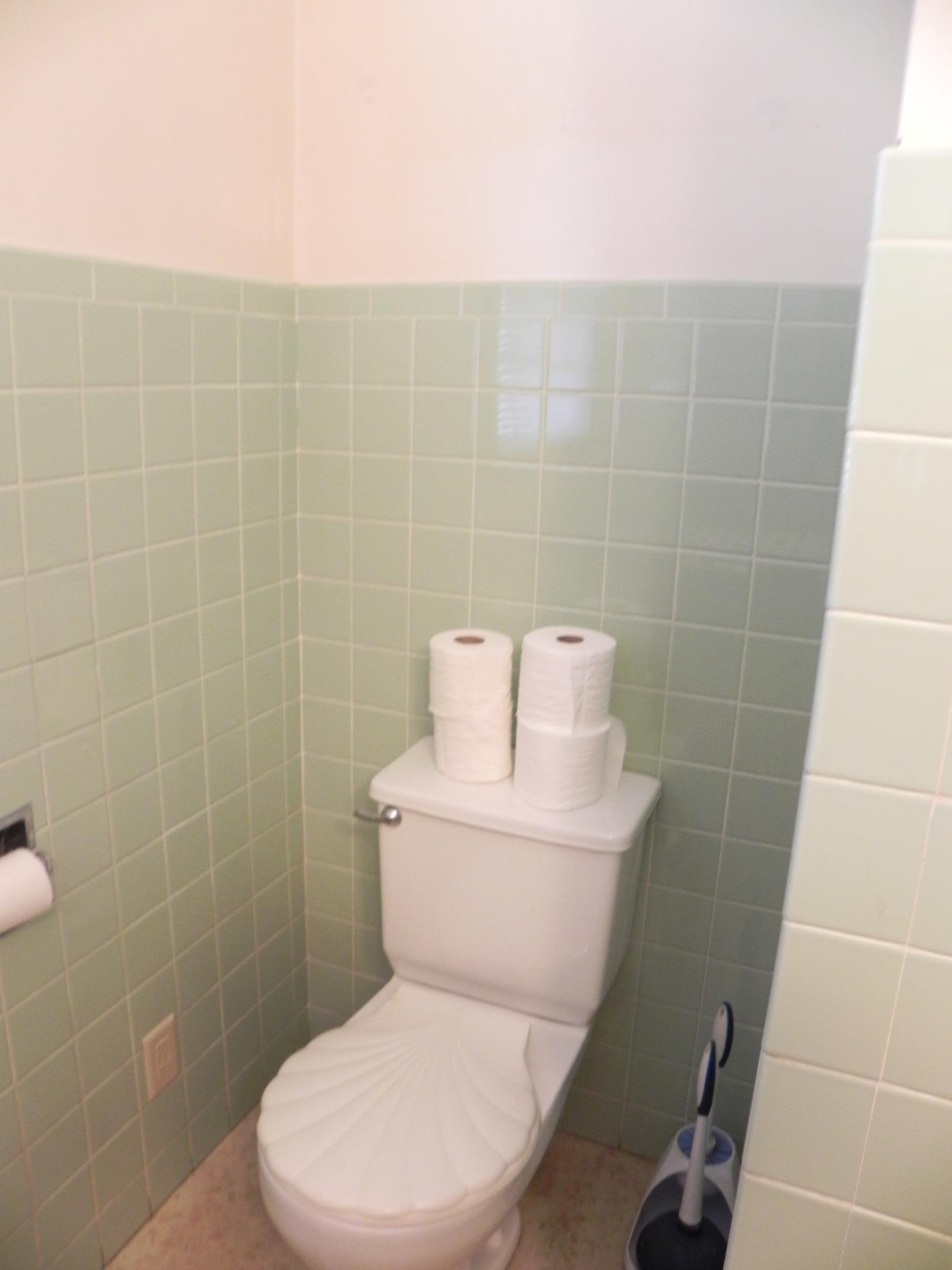 Main floor bathroom