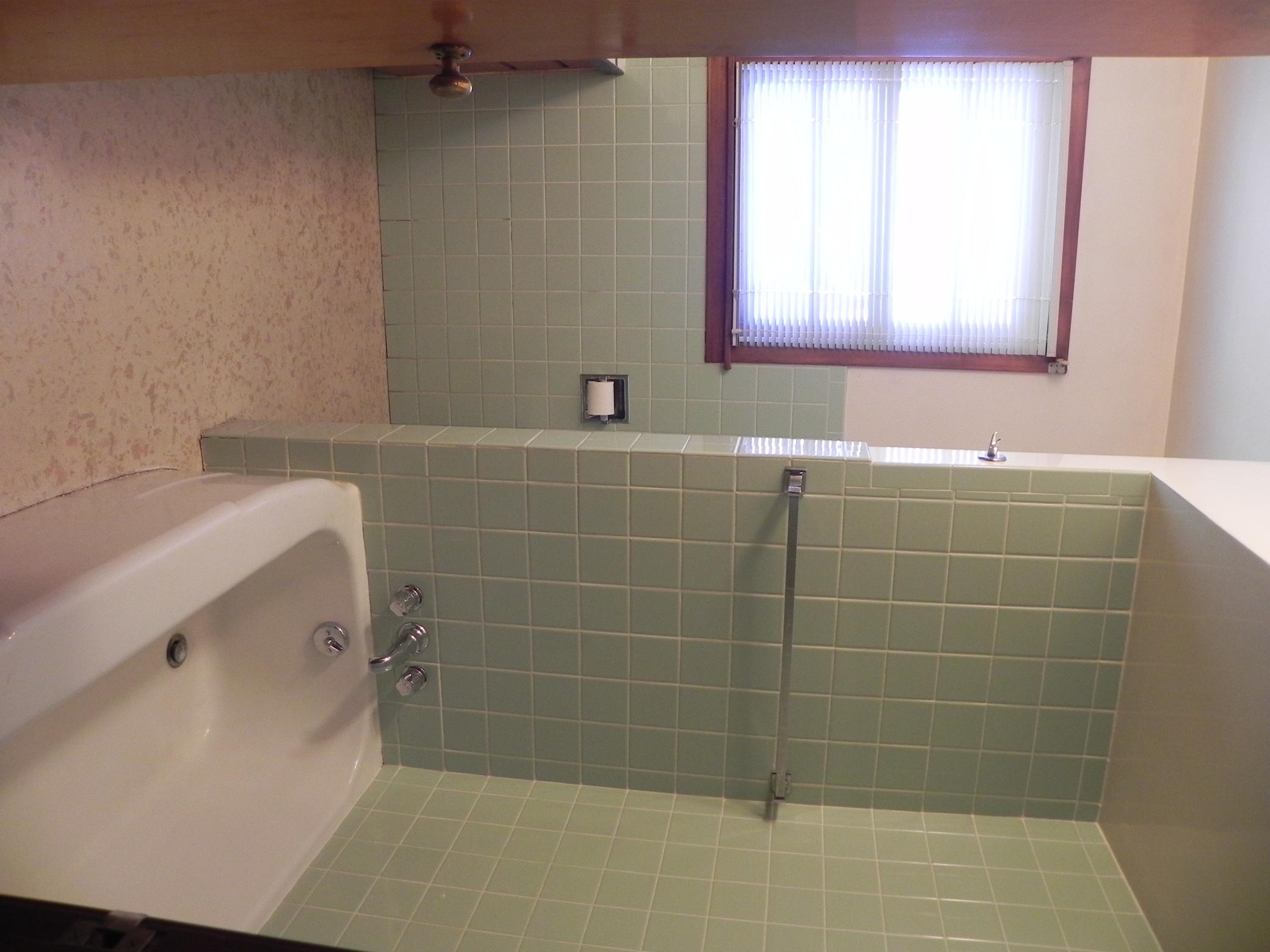 Main floor bathroom