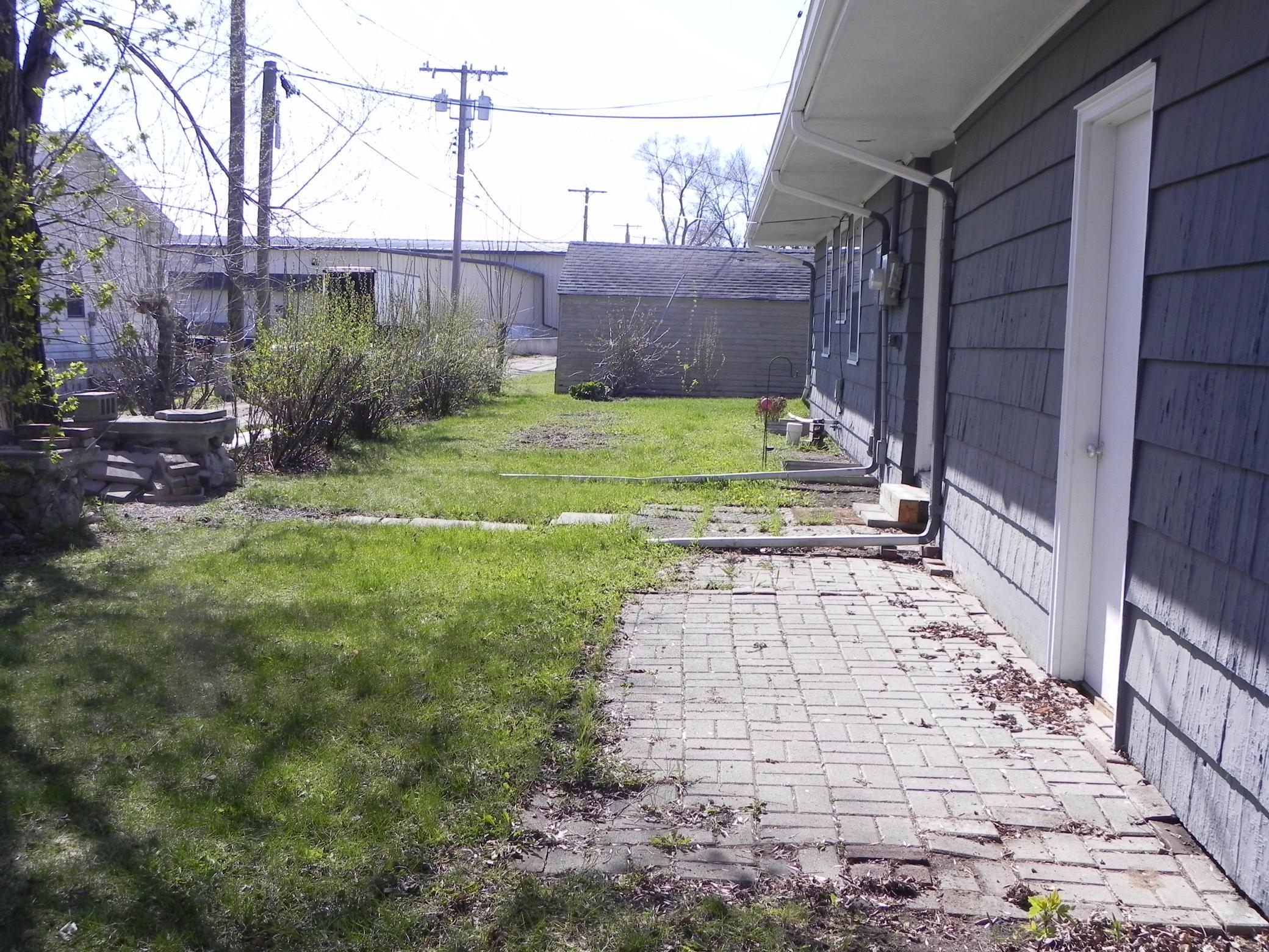Back yard
