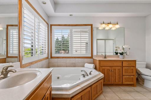 Primary bathroom on main level with jetted tub, separate shower, and generous vanity space.