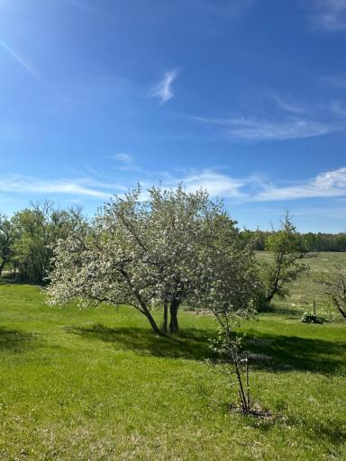 16166 510th Avenue, Menahga, MN 56464
