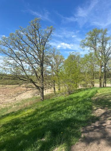 16166 510th Avenue, Menahga, MN 56464