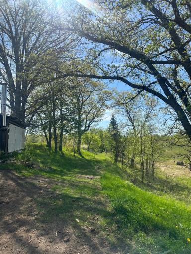 16166 510th Avenue, Menahga, MN 56464